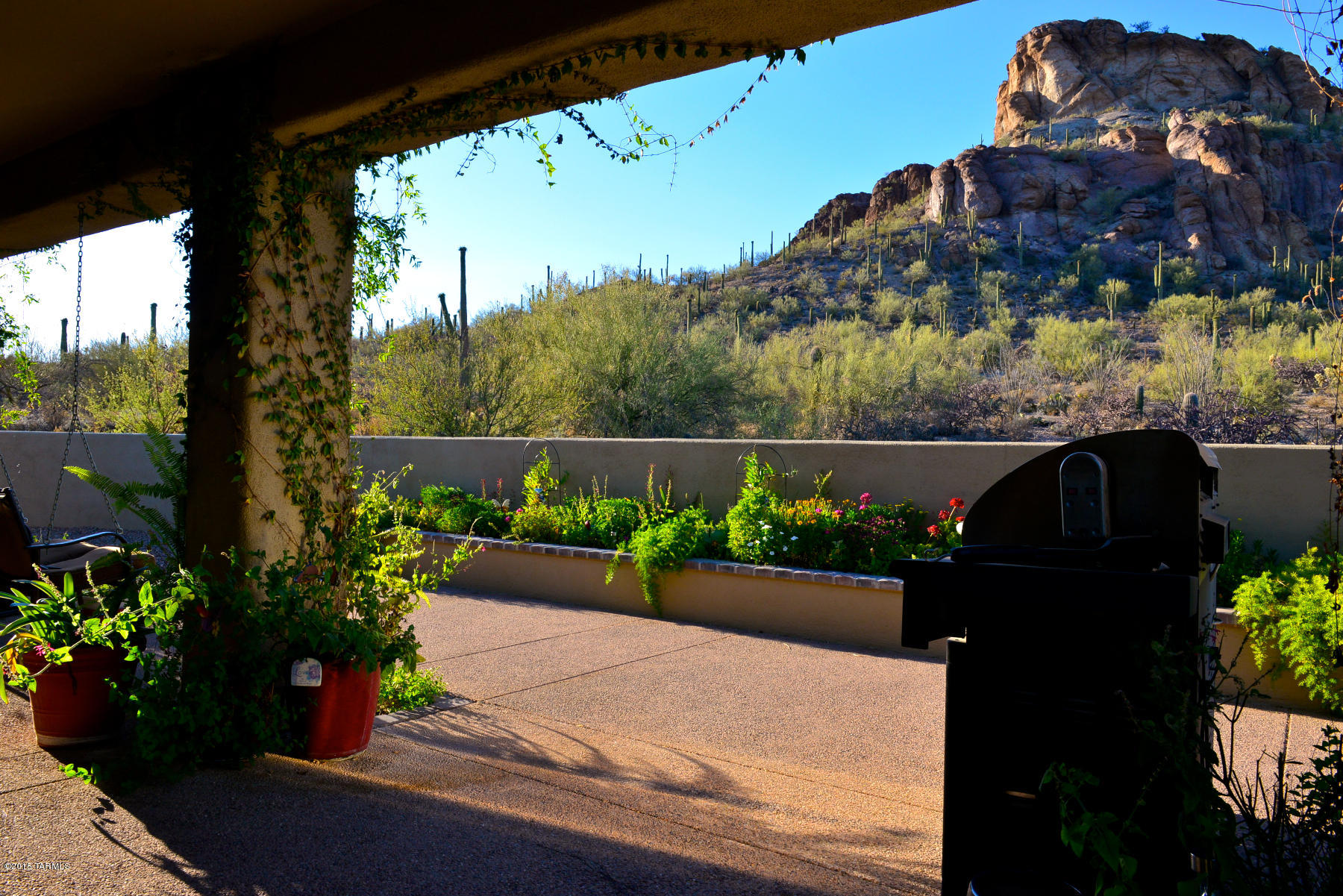 4080 W Bent Saguaro Court