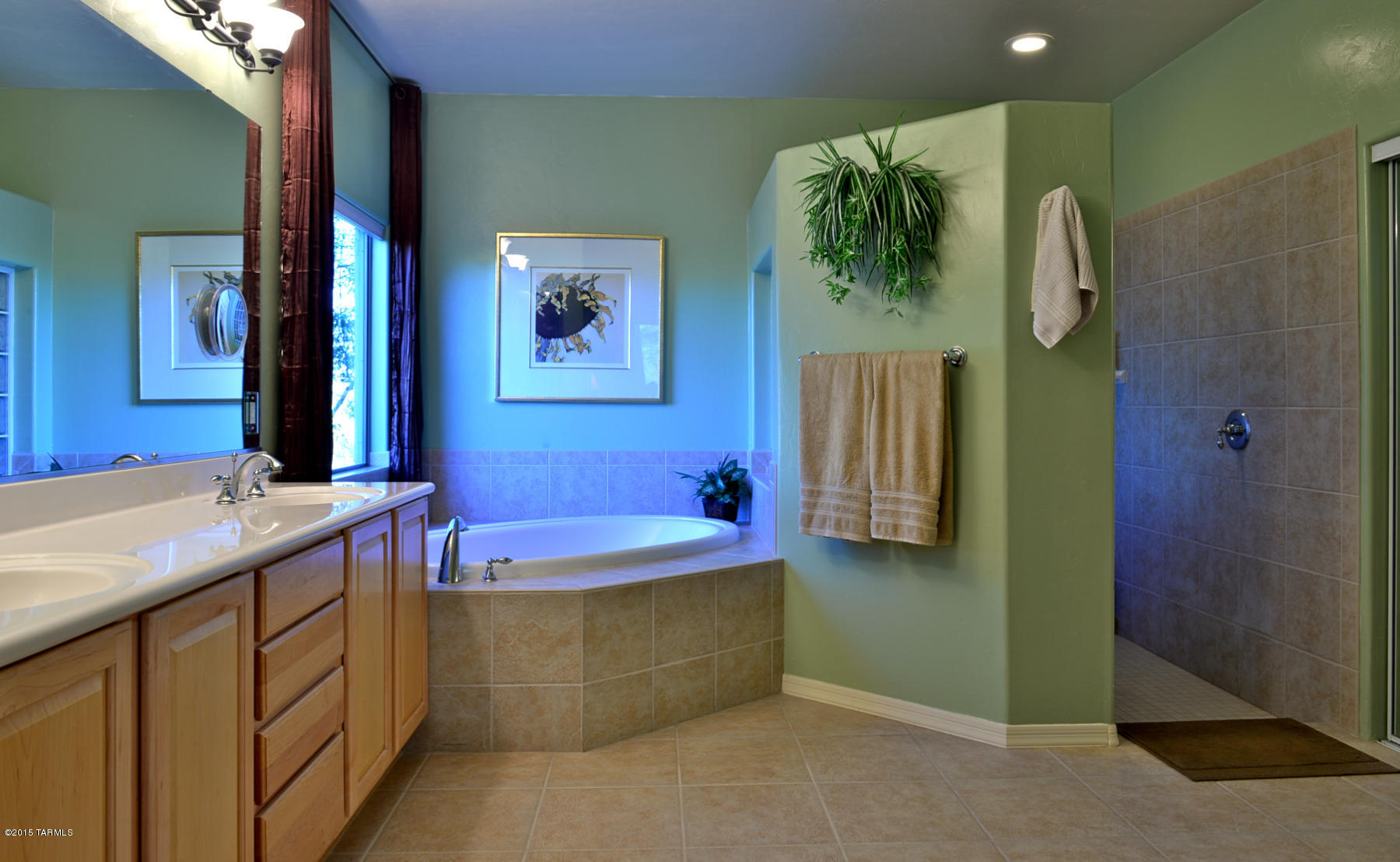 4080 W Bent Saguaro Court