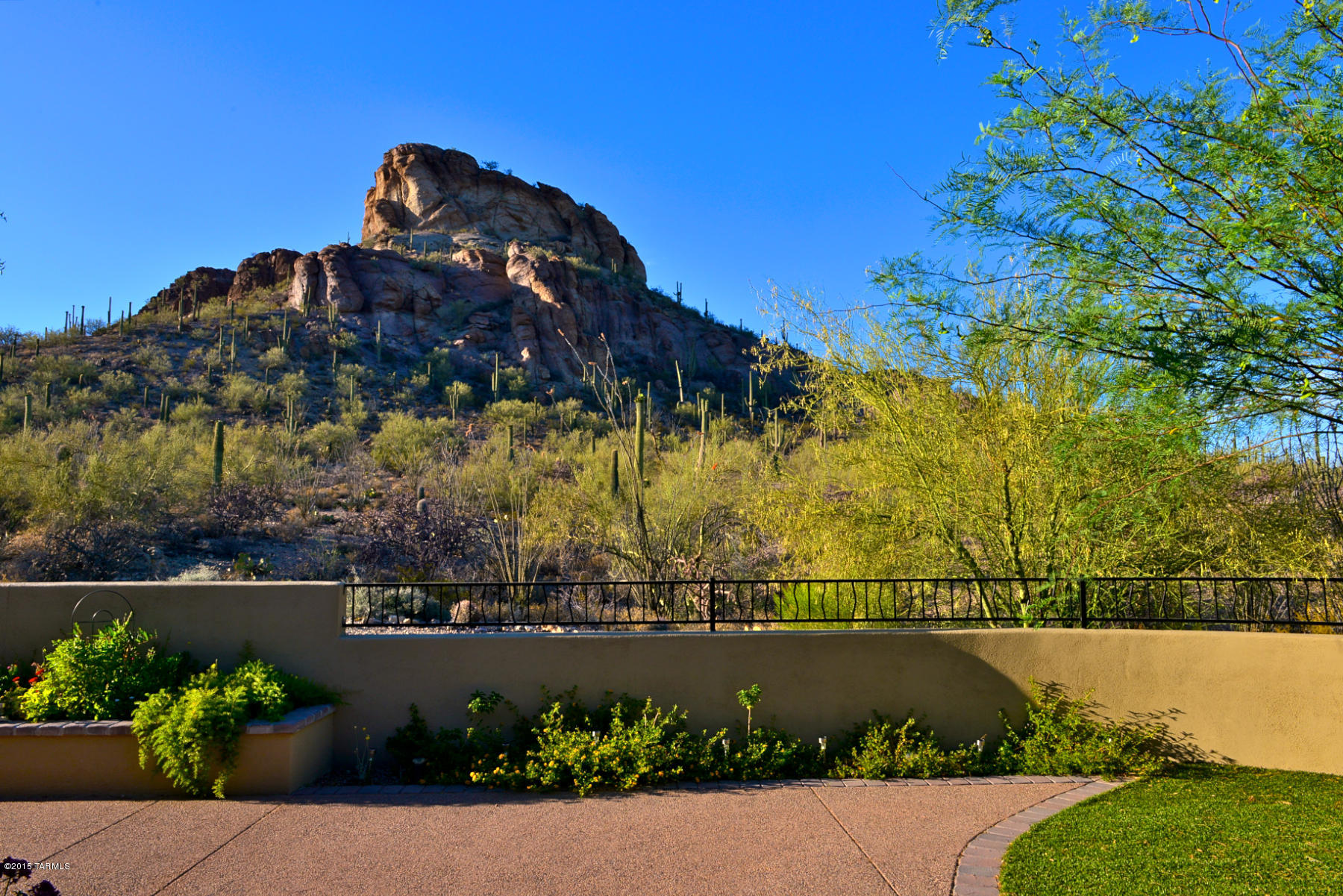 4080 W Bent Saguaro Court