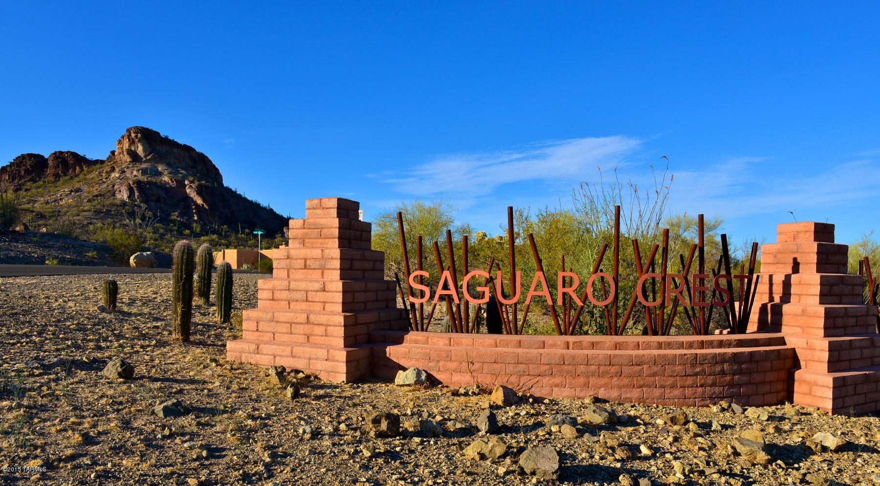 4080 W Bent Saguaro Court