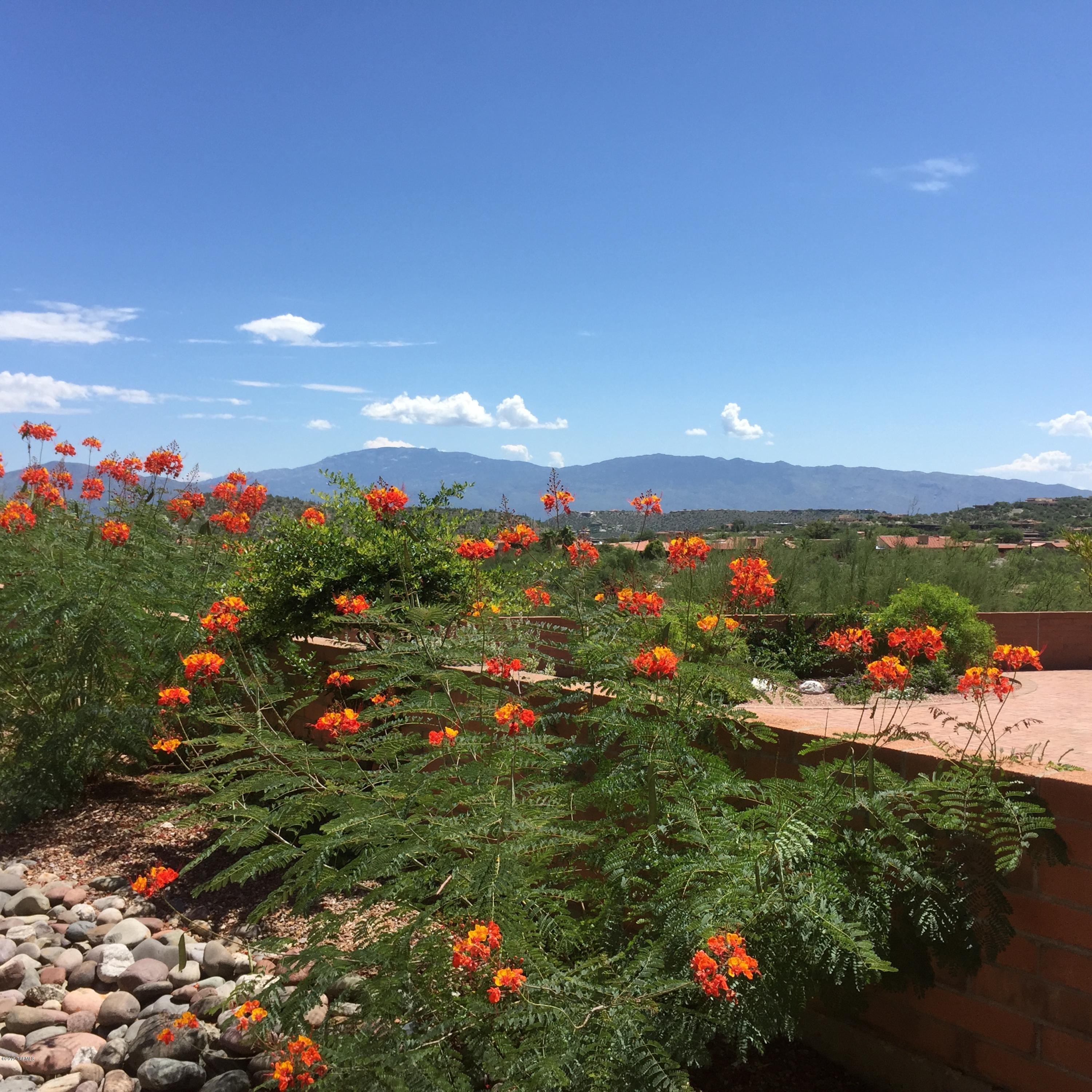 5540 N Via Velazquez