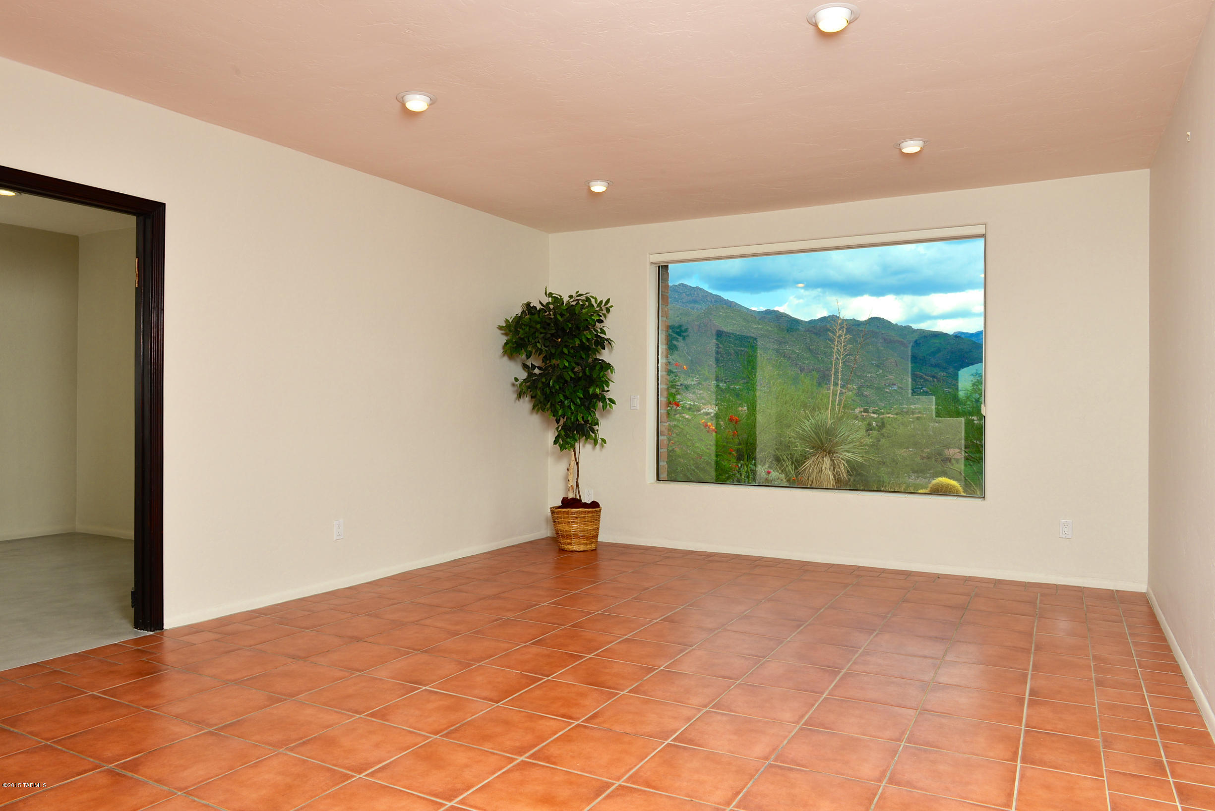 5801 N Placita Joyita