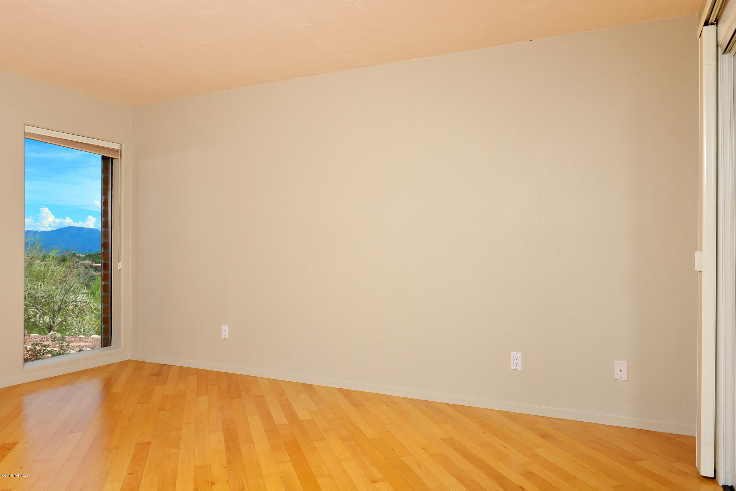 5801 N Placita Joyita