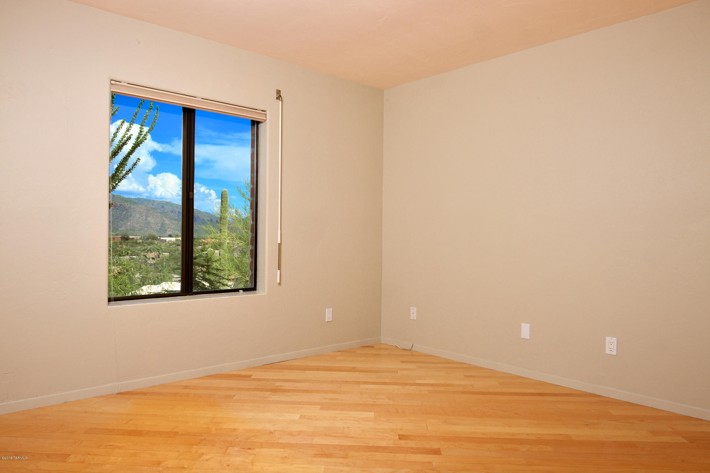 5801 N Placita Joyita