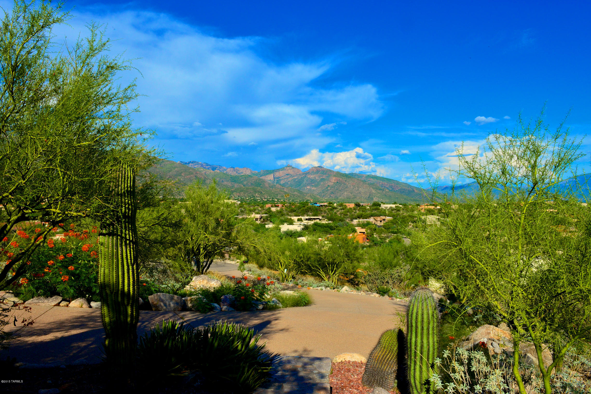 5801 N Placita Joyita