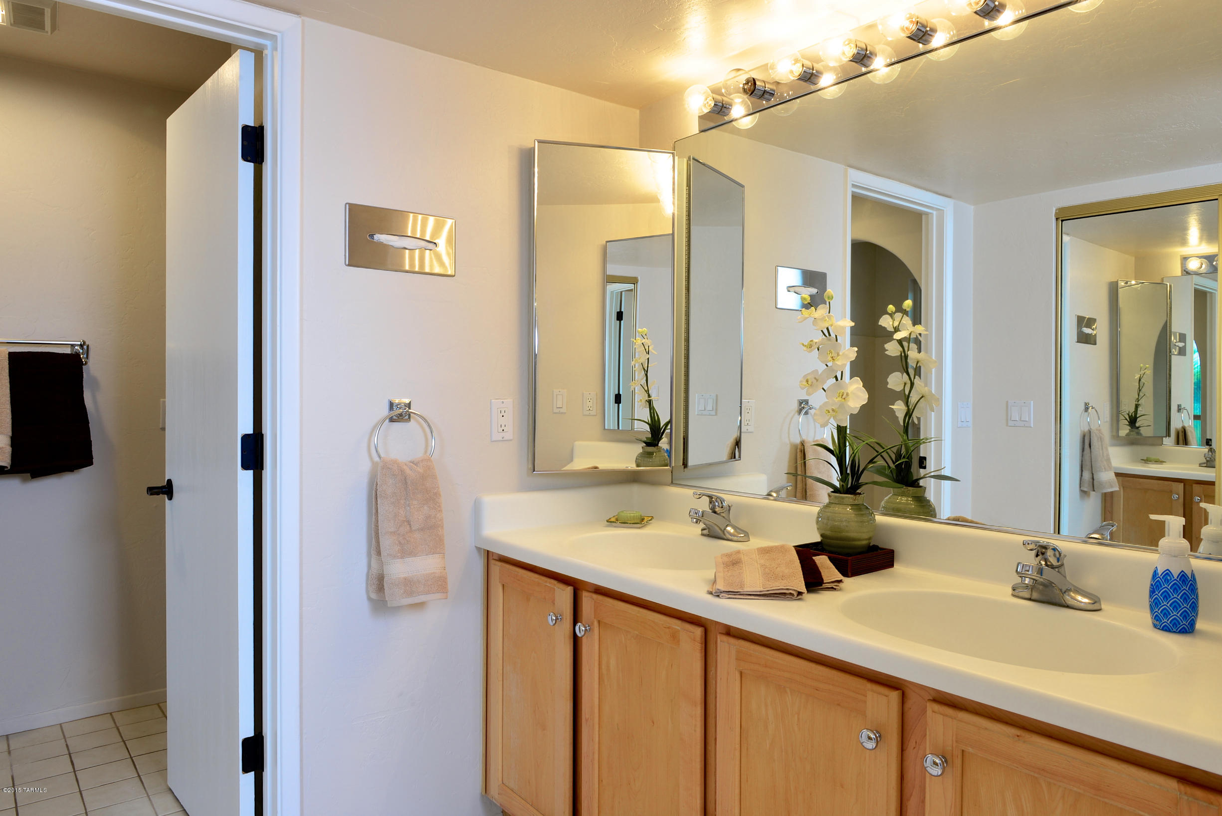 5801 N Placita Joyita