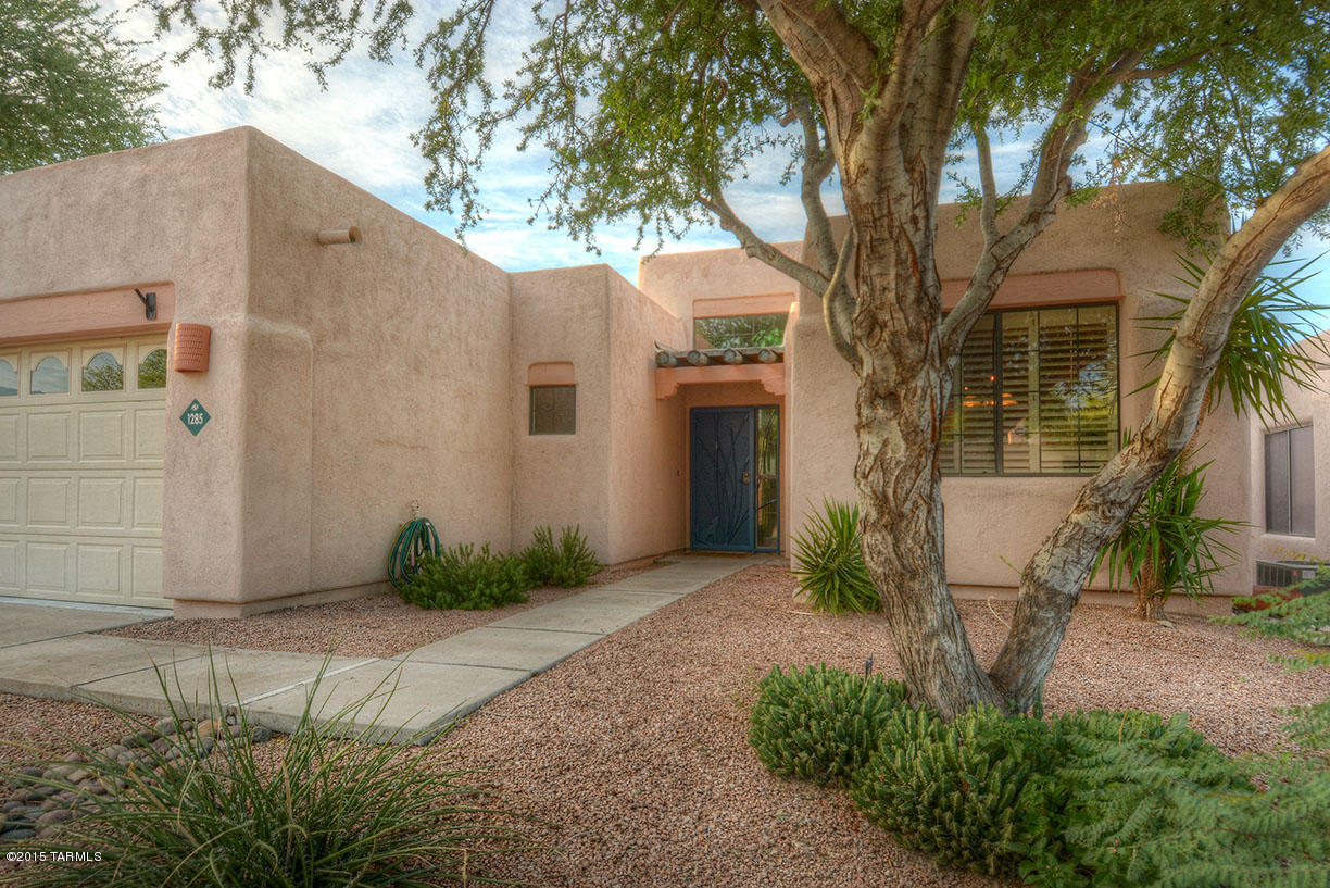 1285 W Paintbrush Place