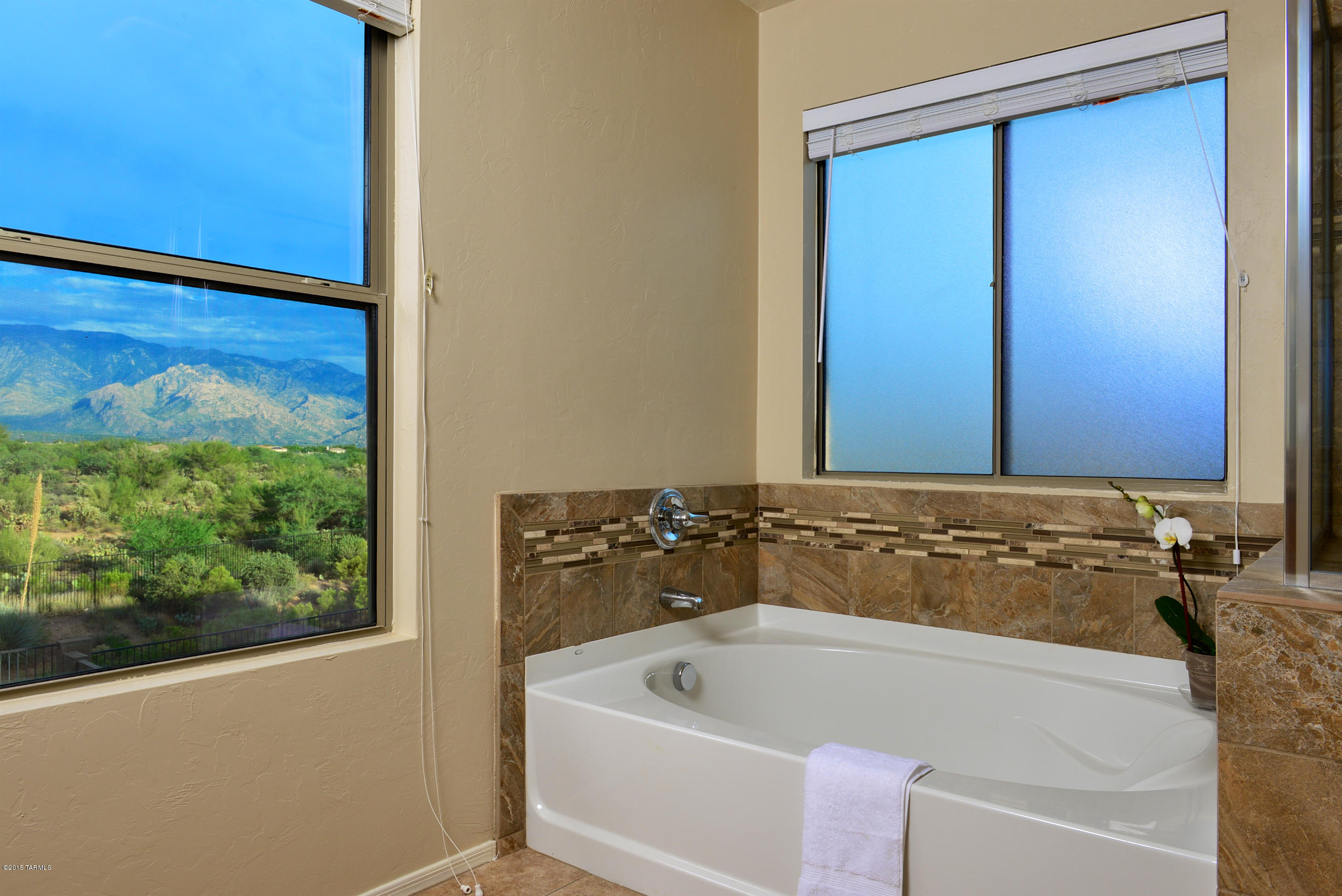 13060 N Desert Olive Drive