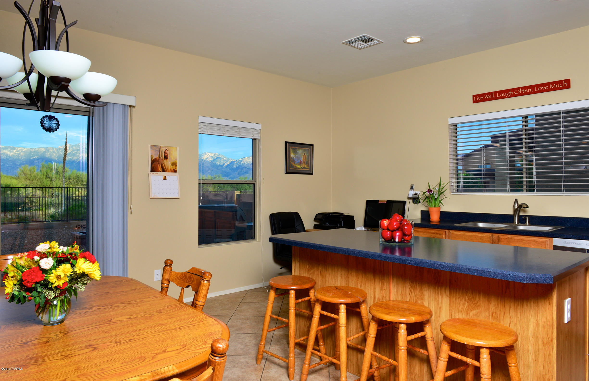 13060 N Desert Olive Drive