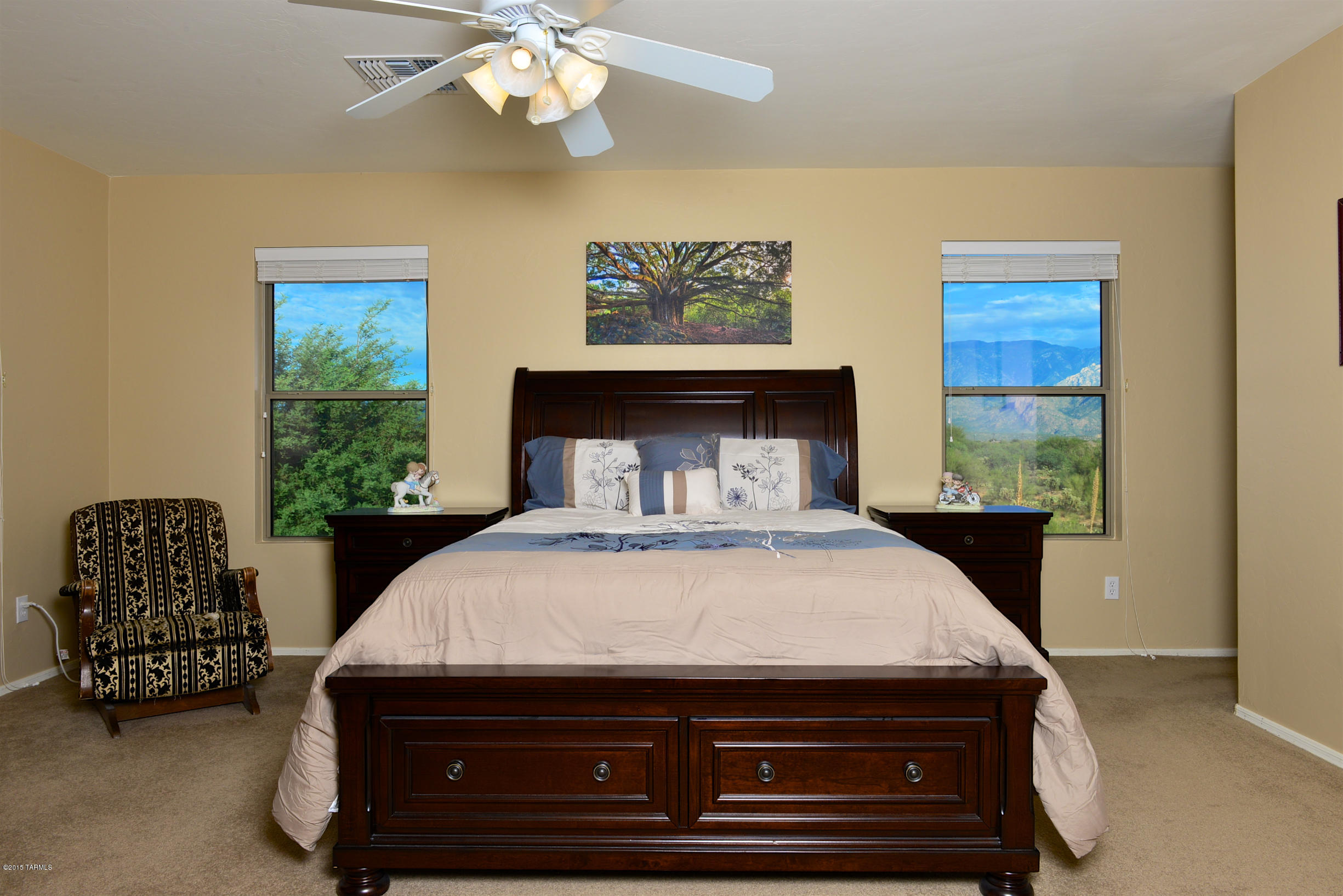 13060 N Desert Olive Drive