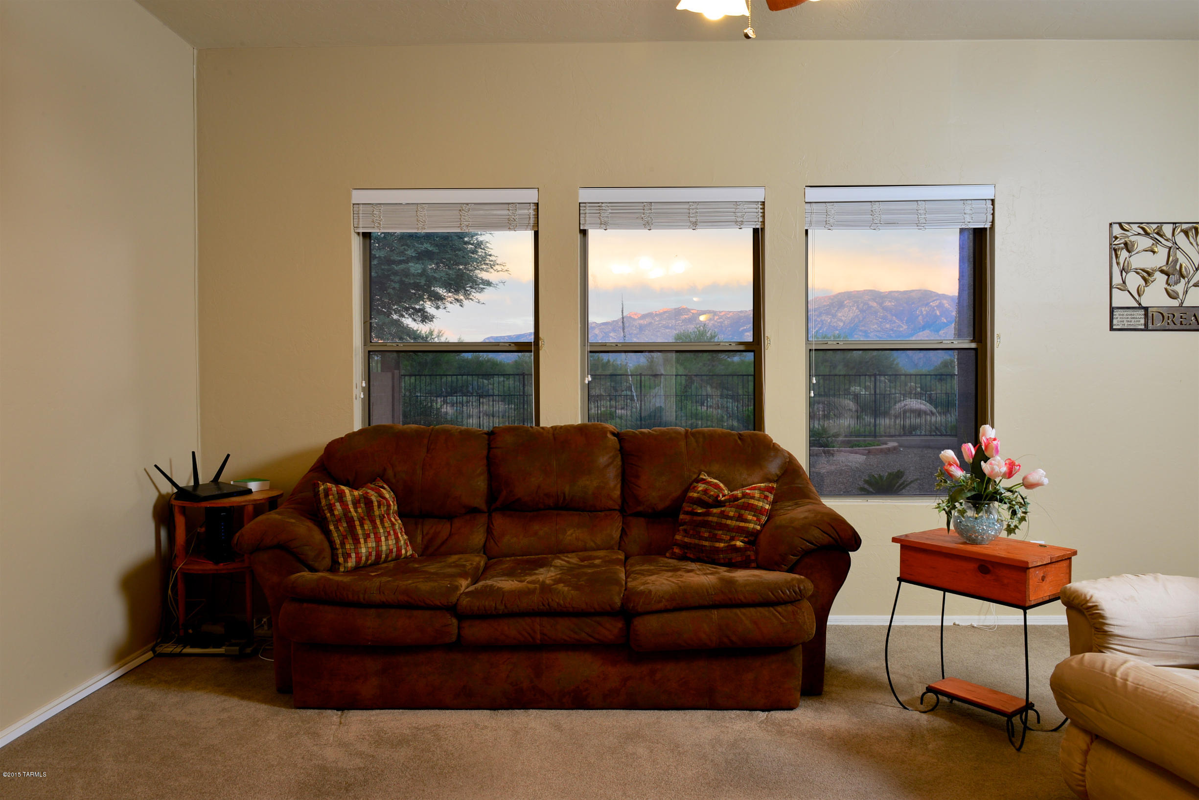 13060 N Desert Olive Drive