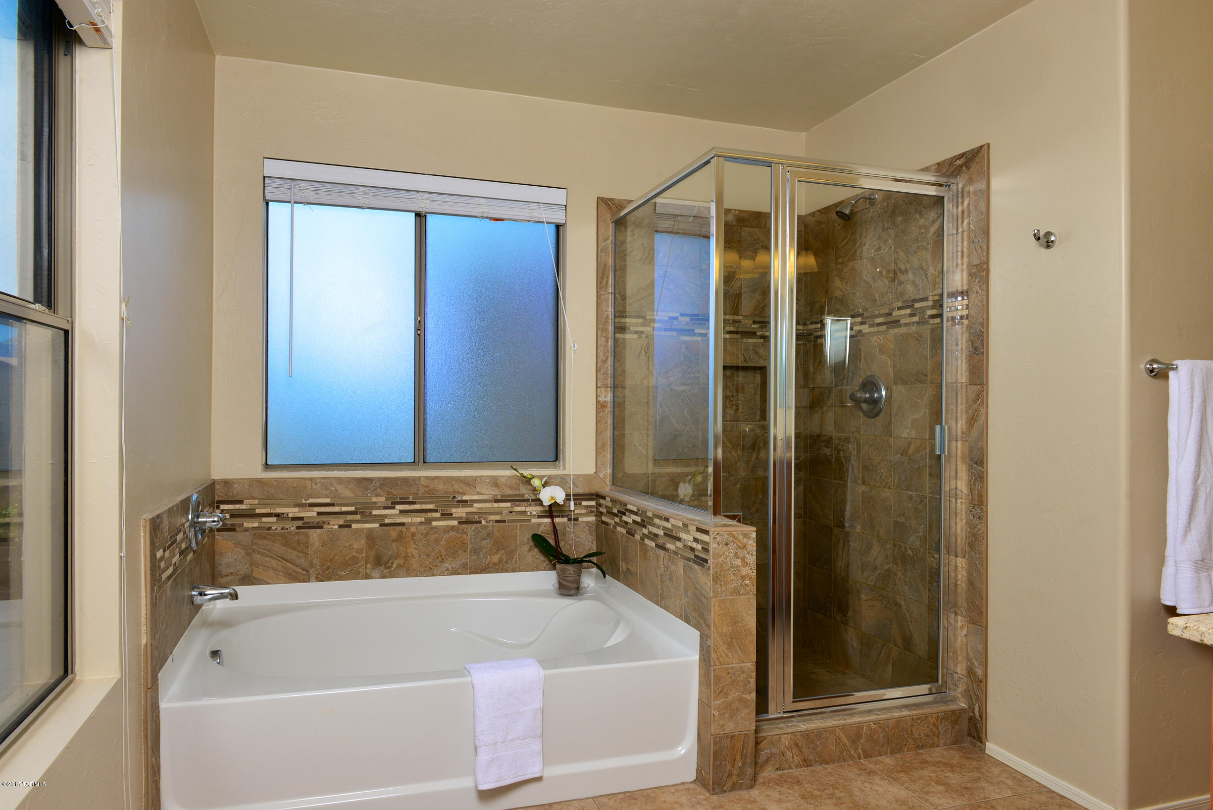 13060 N Desert Olive Drive