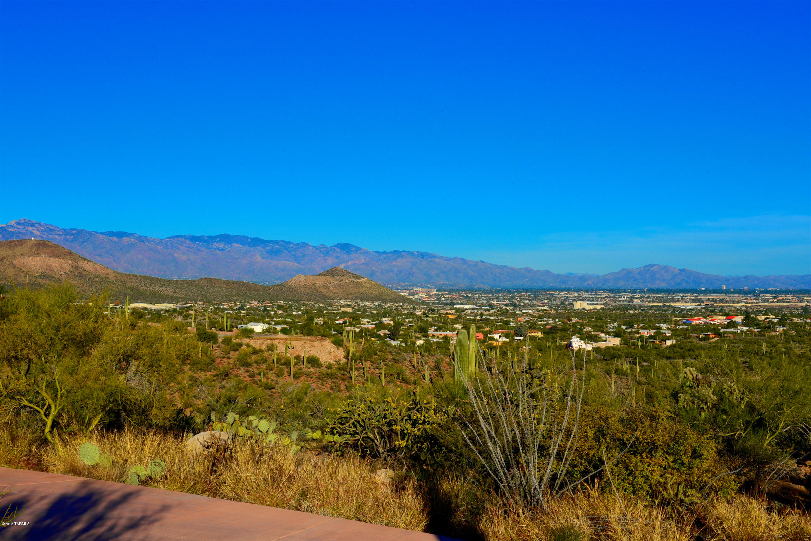 3155 W Mockingbird Lane