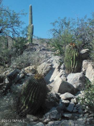 13925 N Como Drive Unit: 0