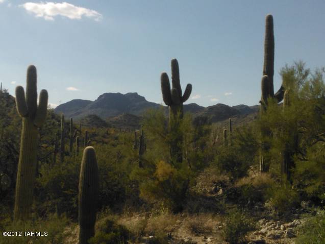 13925 N Como Drive Unit: 0