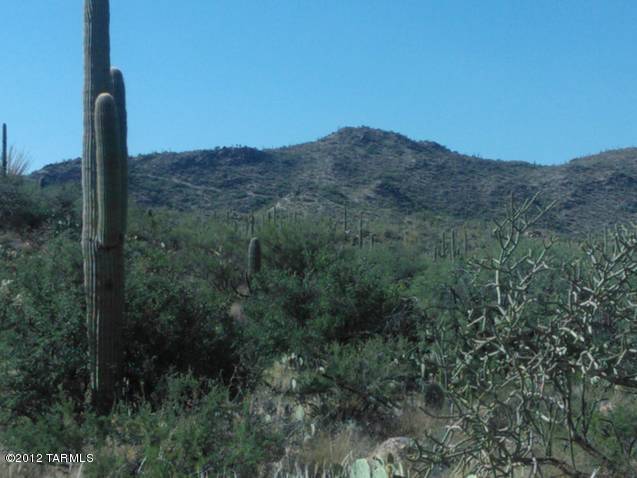 13925 N Como Drive Unit: 0