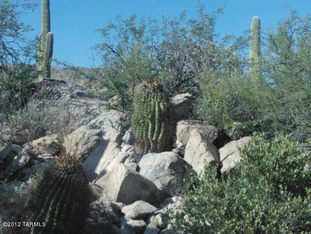 13925 N Como Drive Unit: 0