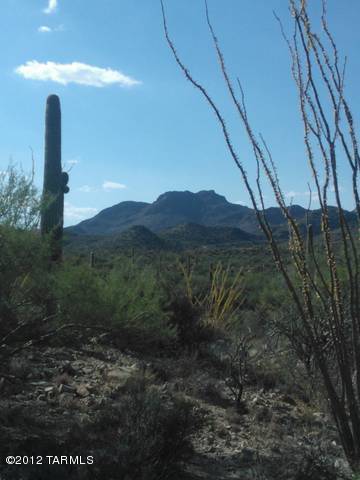 13925 N Como Drive Unit: 0