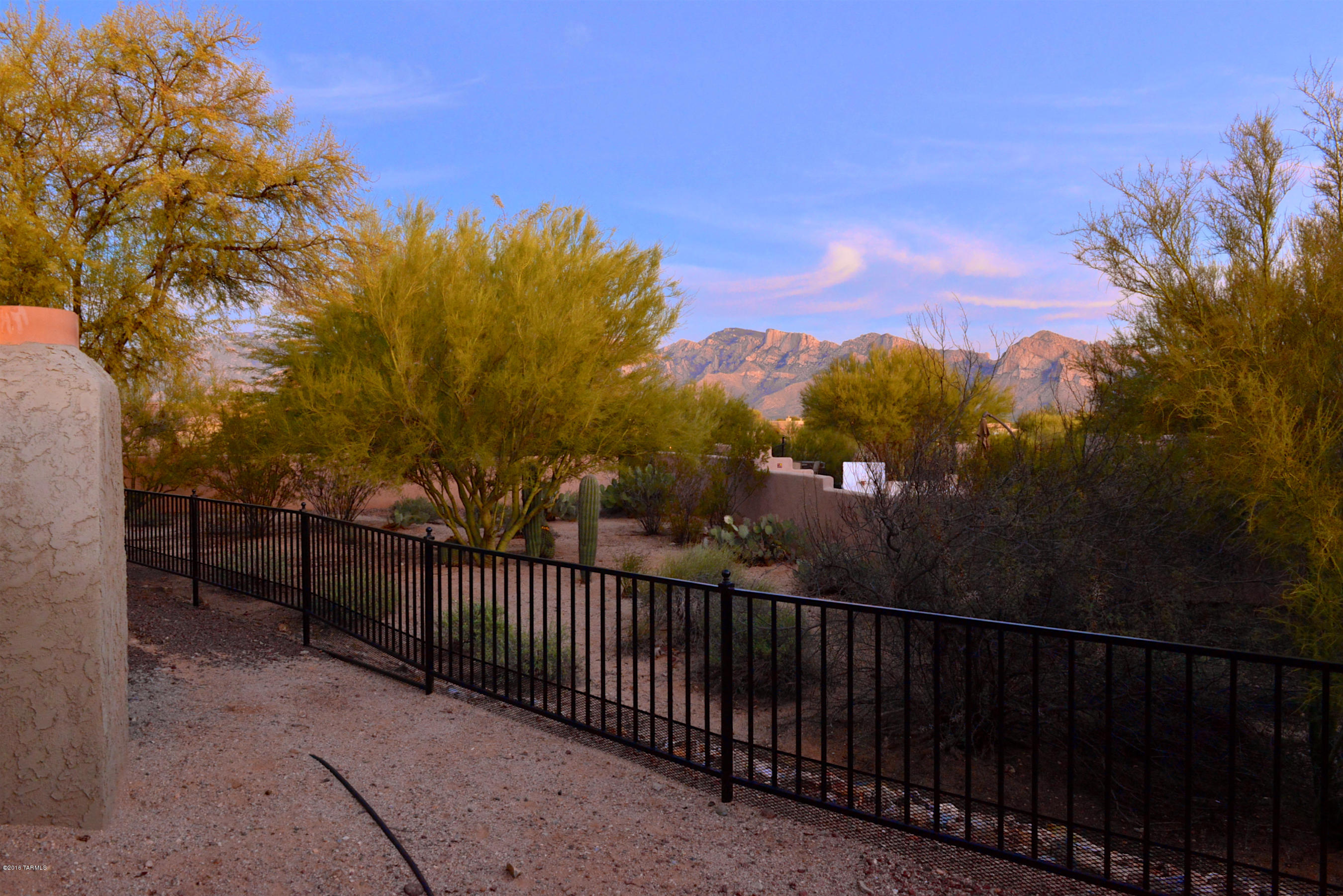 11814 N Mountain Laurel Place