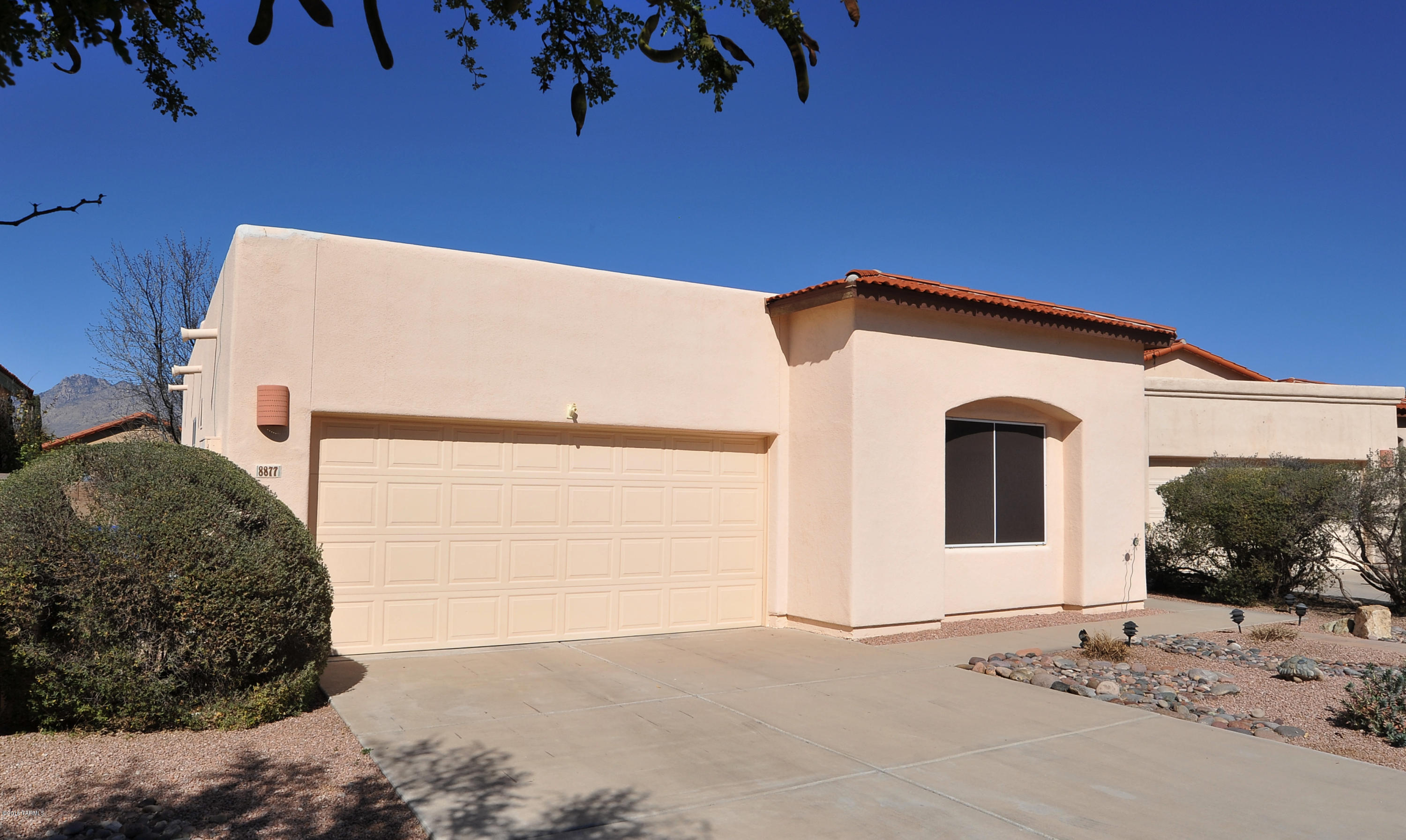 8877 E Desert Verbena Place