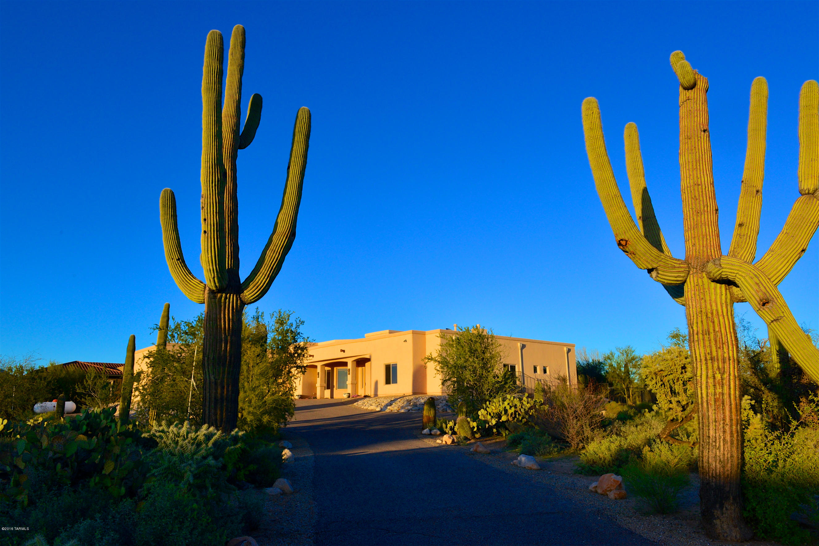 5038 W Camino De Manana