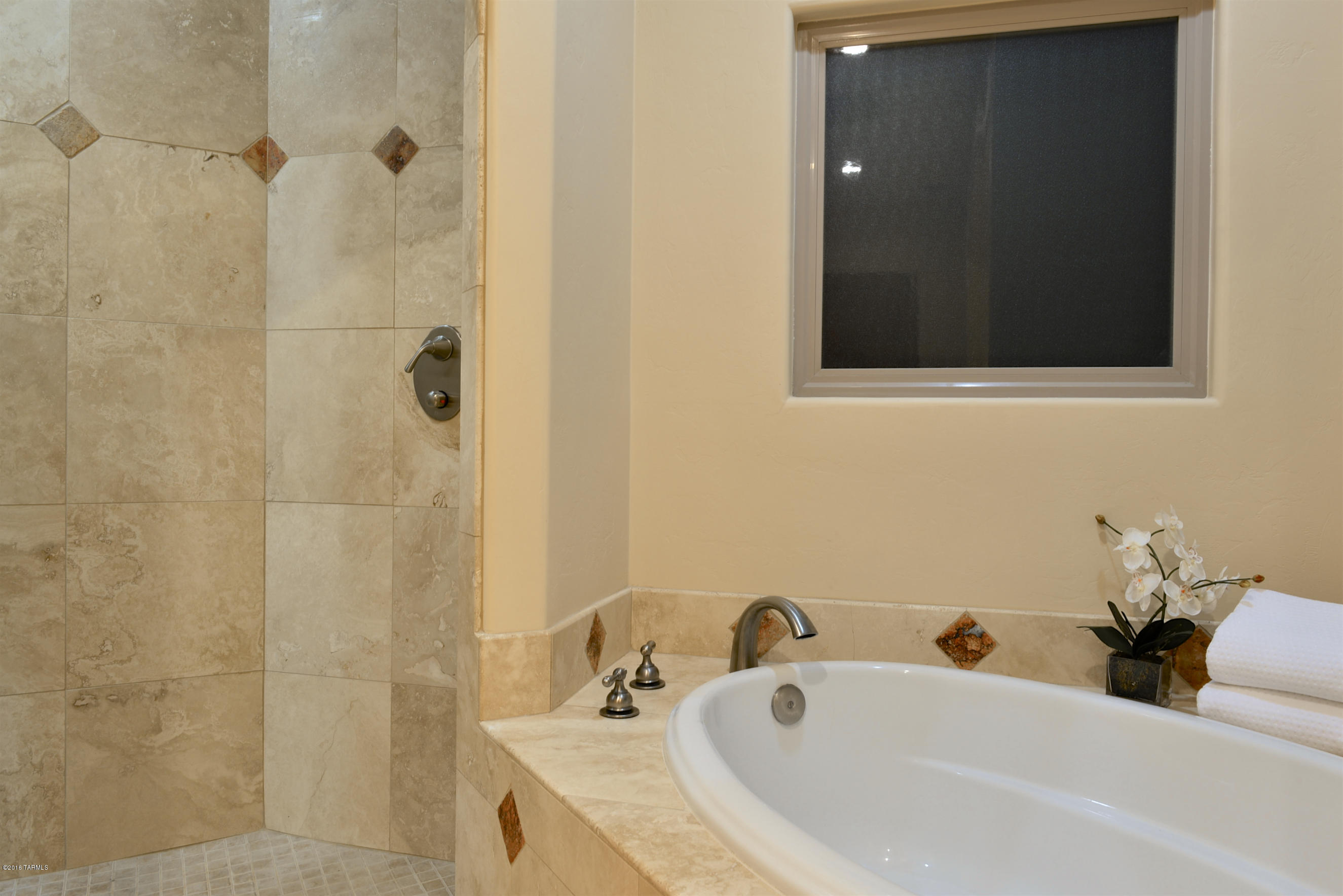 5038 W Camino De Manana