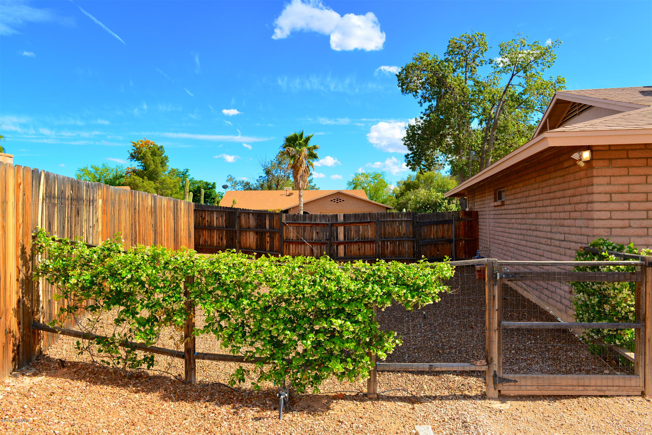 4642 W Red Wolf Drive