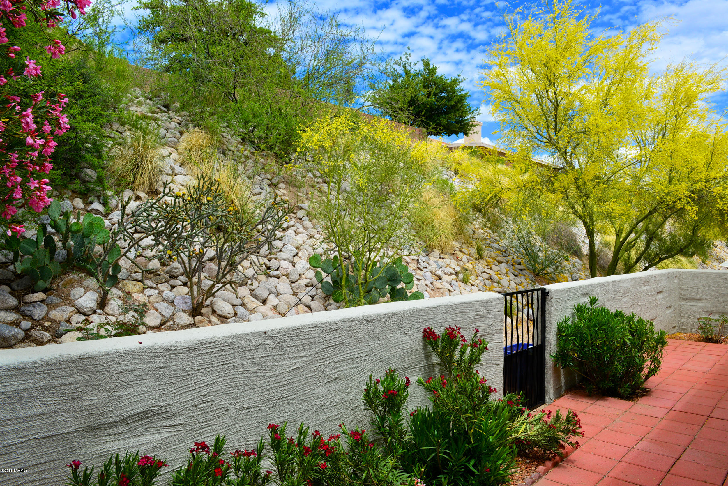 7425 E Wandering Road