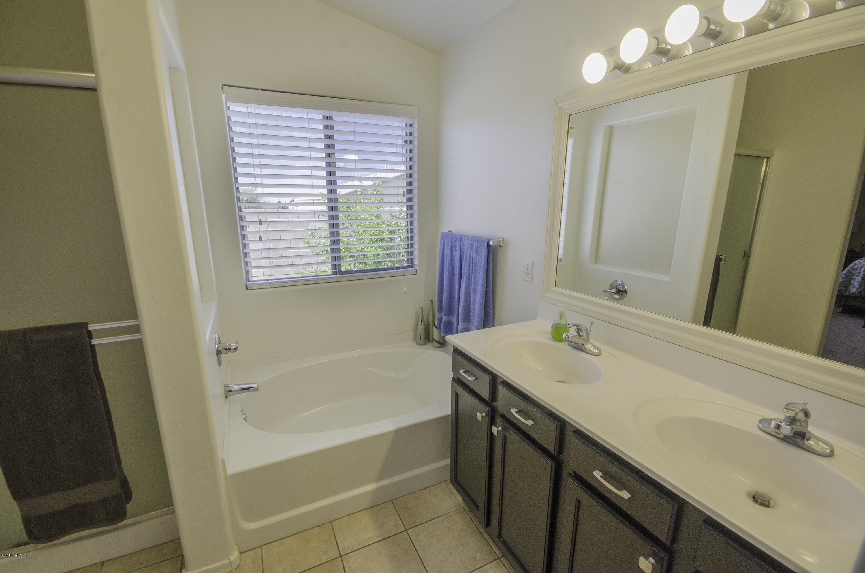 5861 W Agave Bloom Lane