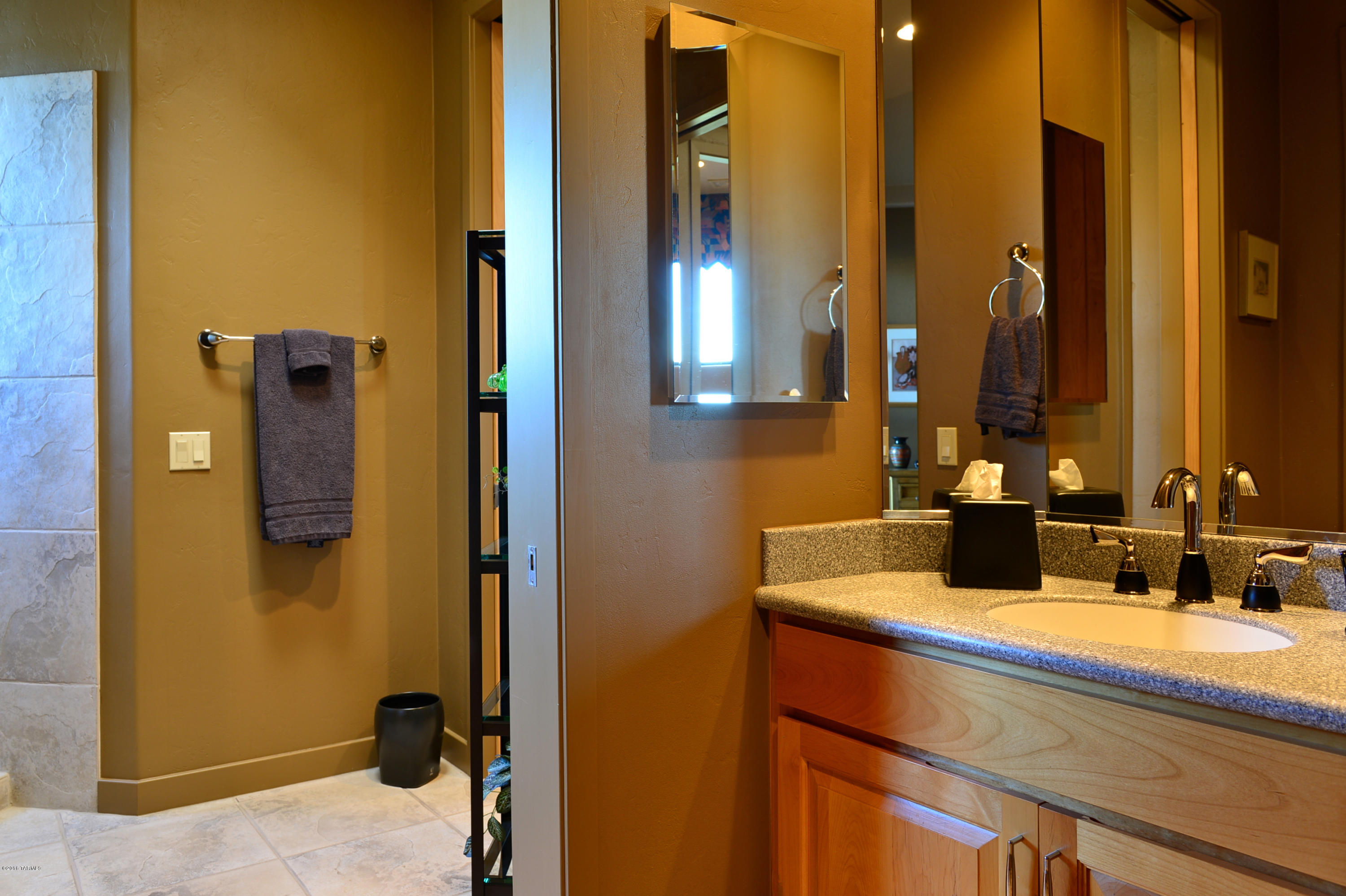 502 W Silhouette Ridge Place