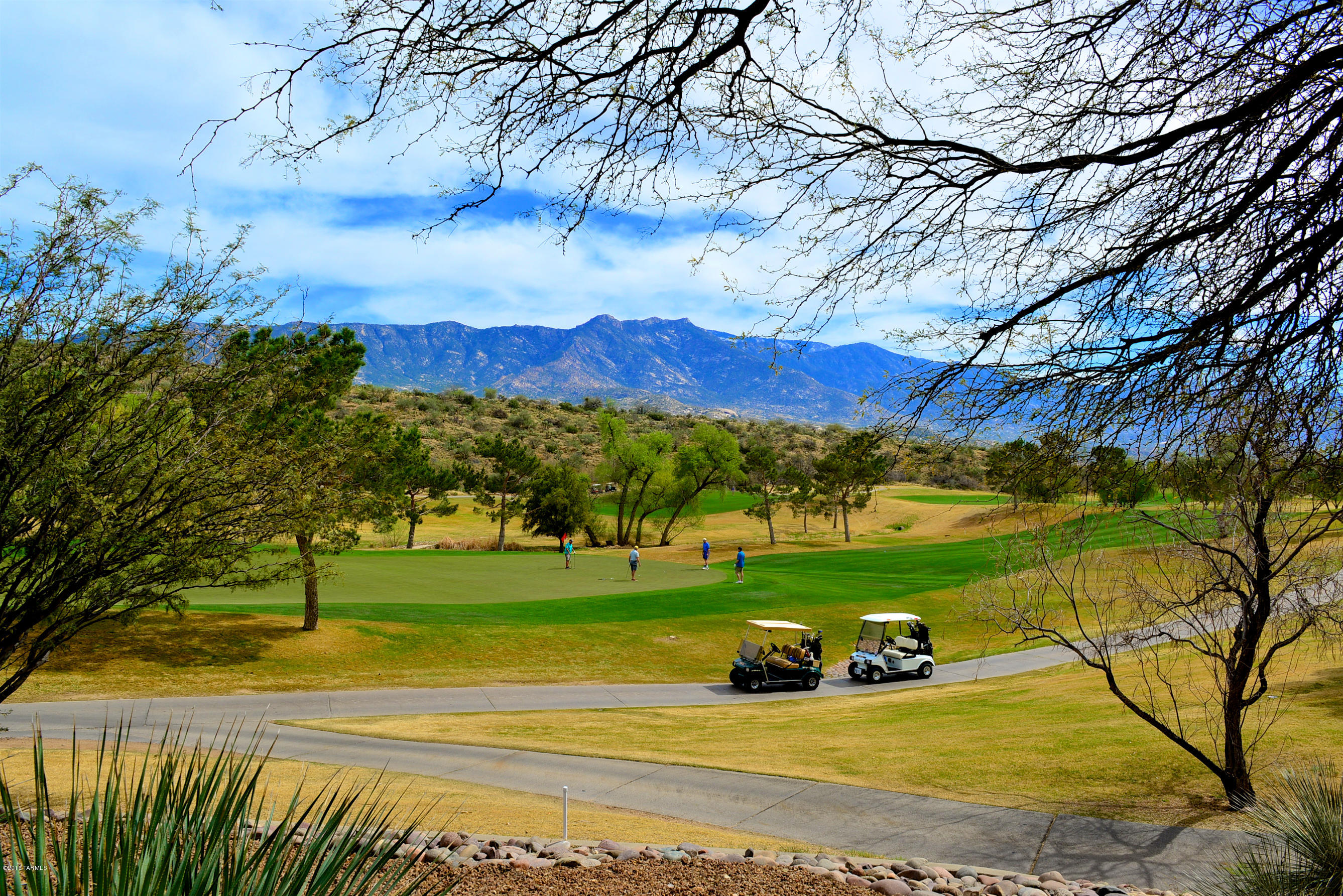 36286 S Mesa Ridge Drive