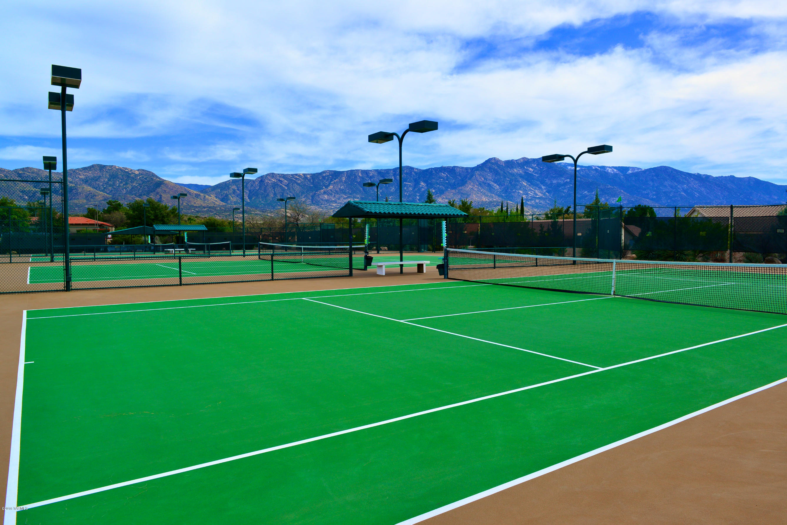 36286 S Mesa Ridge Drive