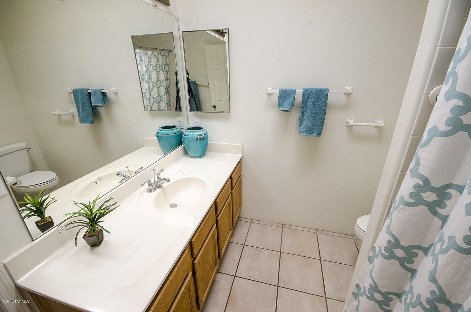 2865 W Placita Paciente