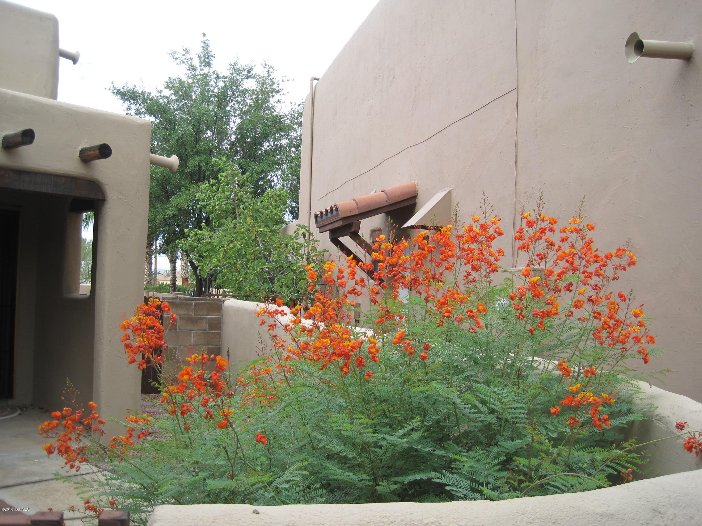 2865 W Placita Paciente