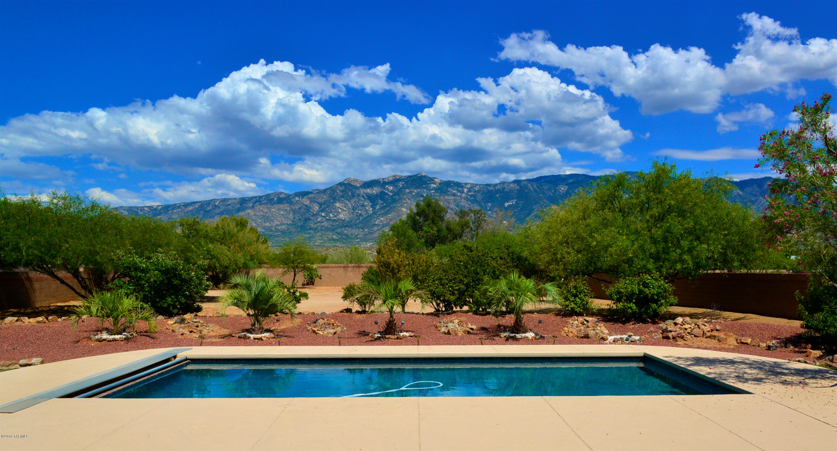 15273 N Coronado Forest Drive