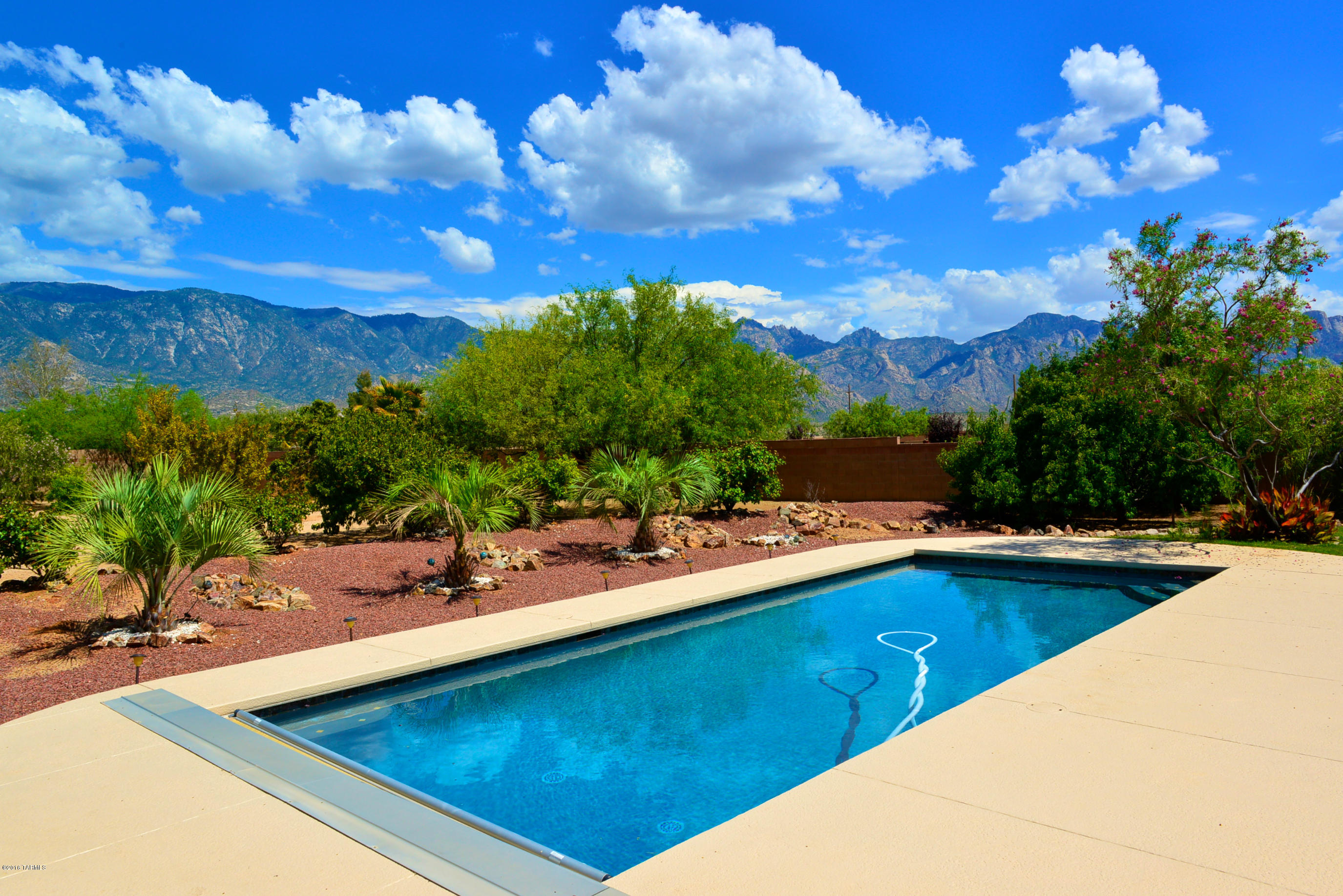 15273 N Coronado Forest Drive