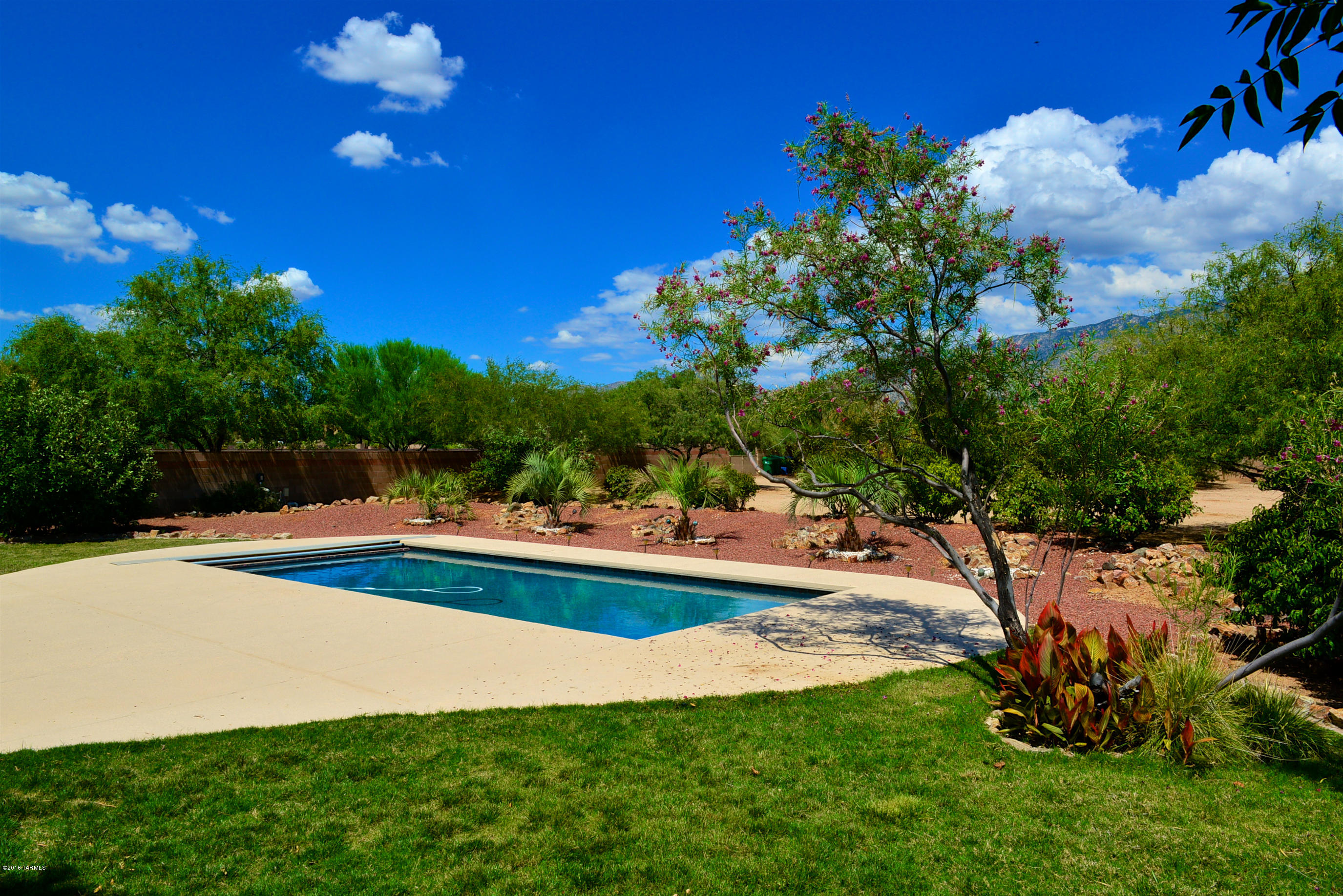 15273 N Coronado Forest Drive