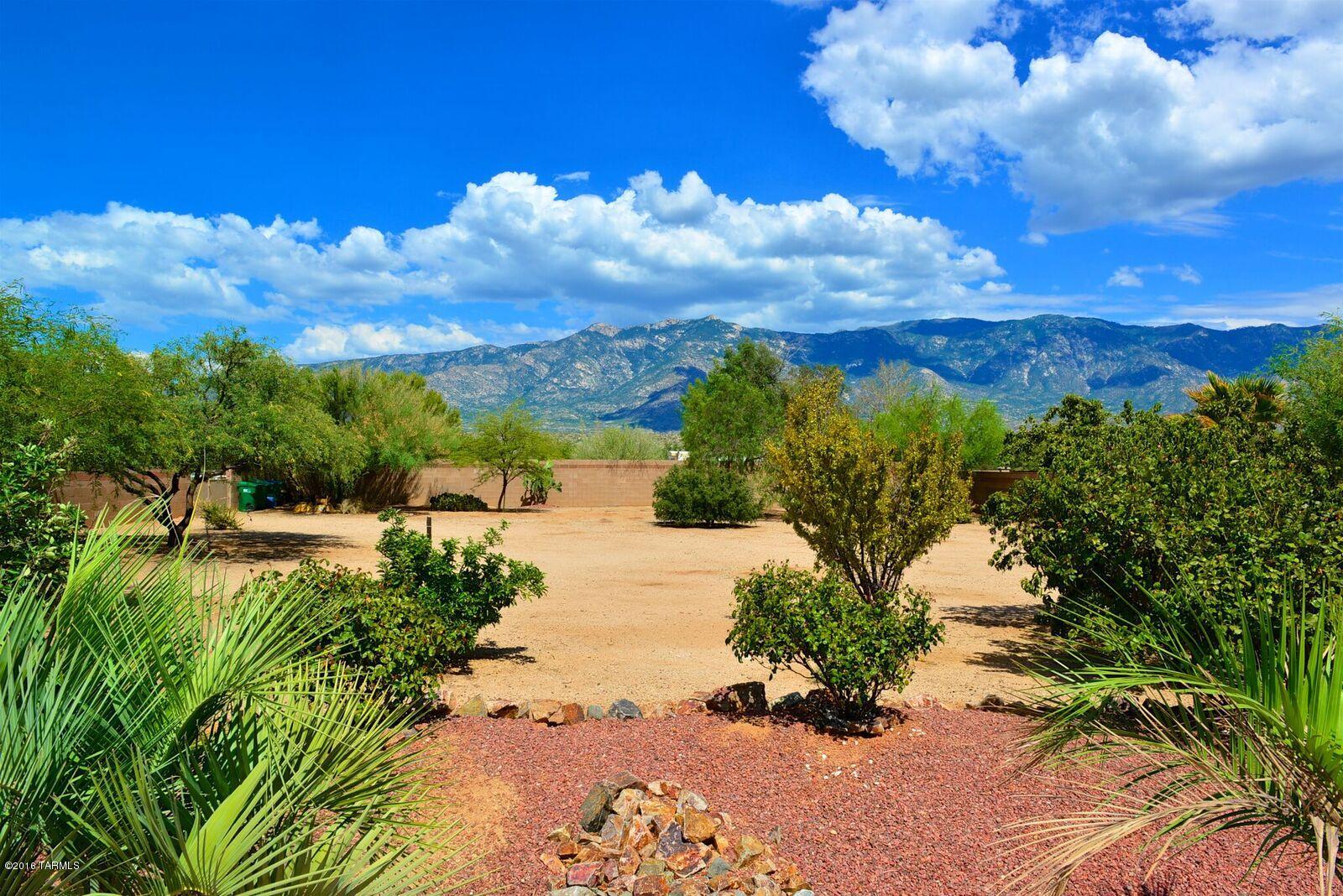 15273 N Coronado Forest Drive