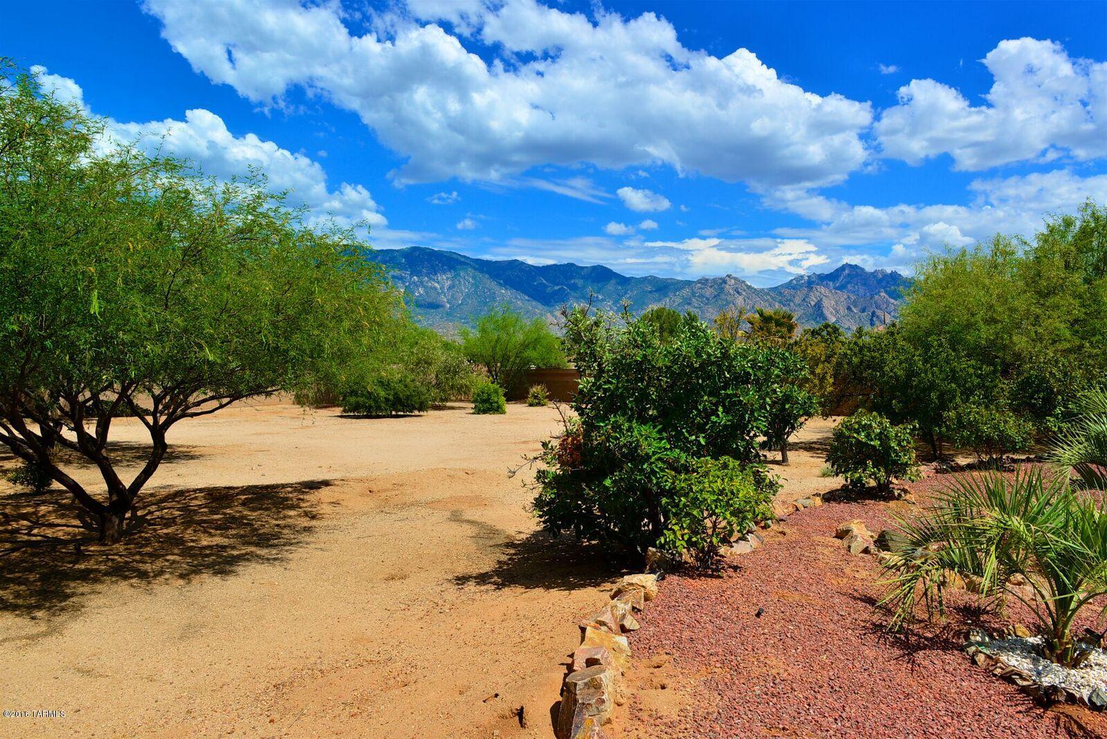 15273 N Coronado Forest Drive