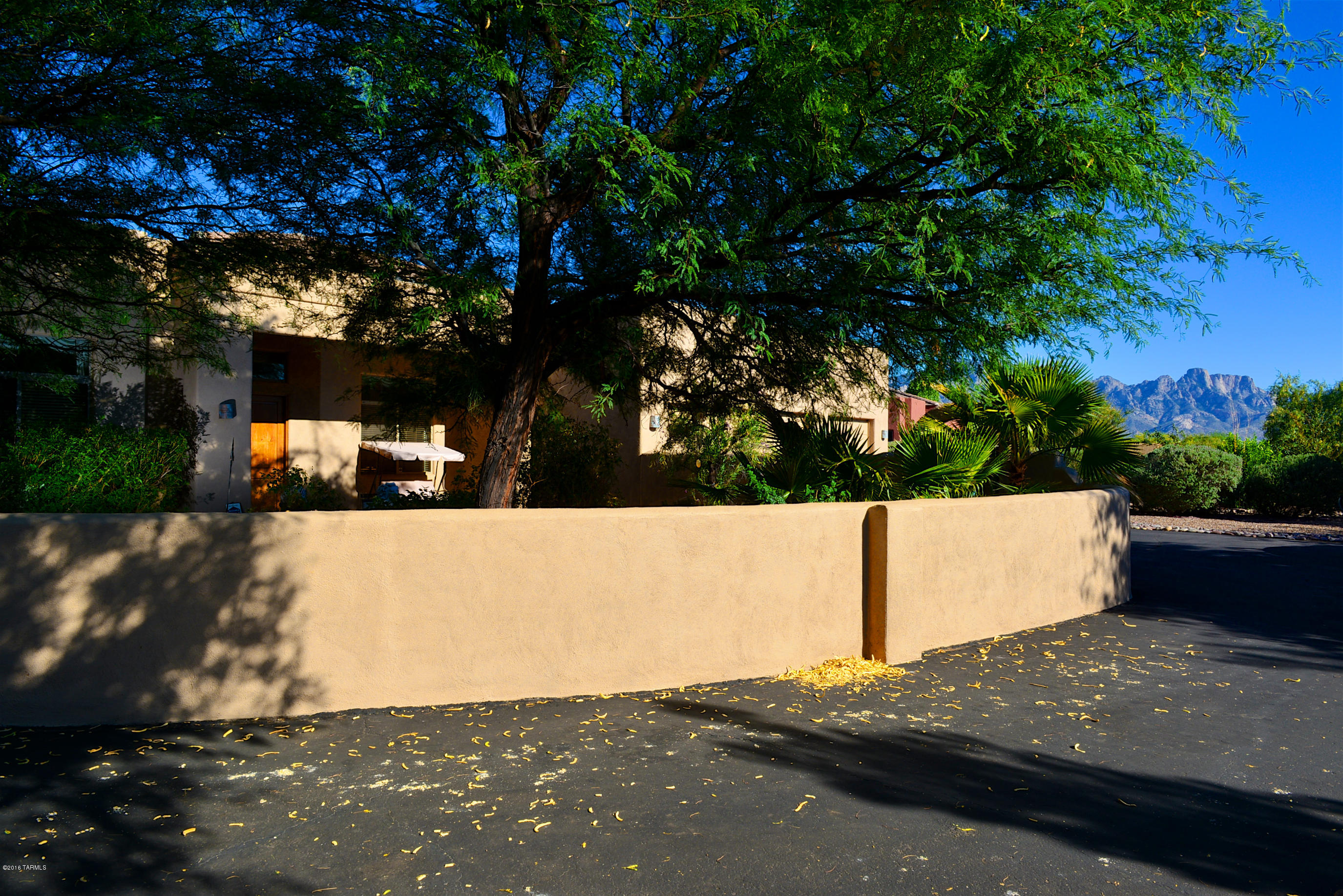 15273 N Coronado Forest Drive