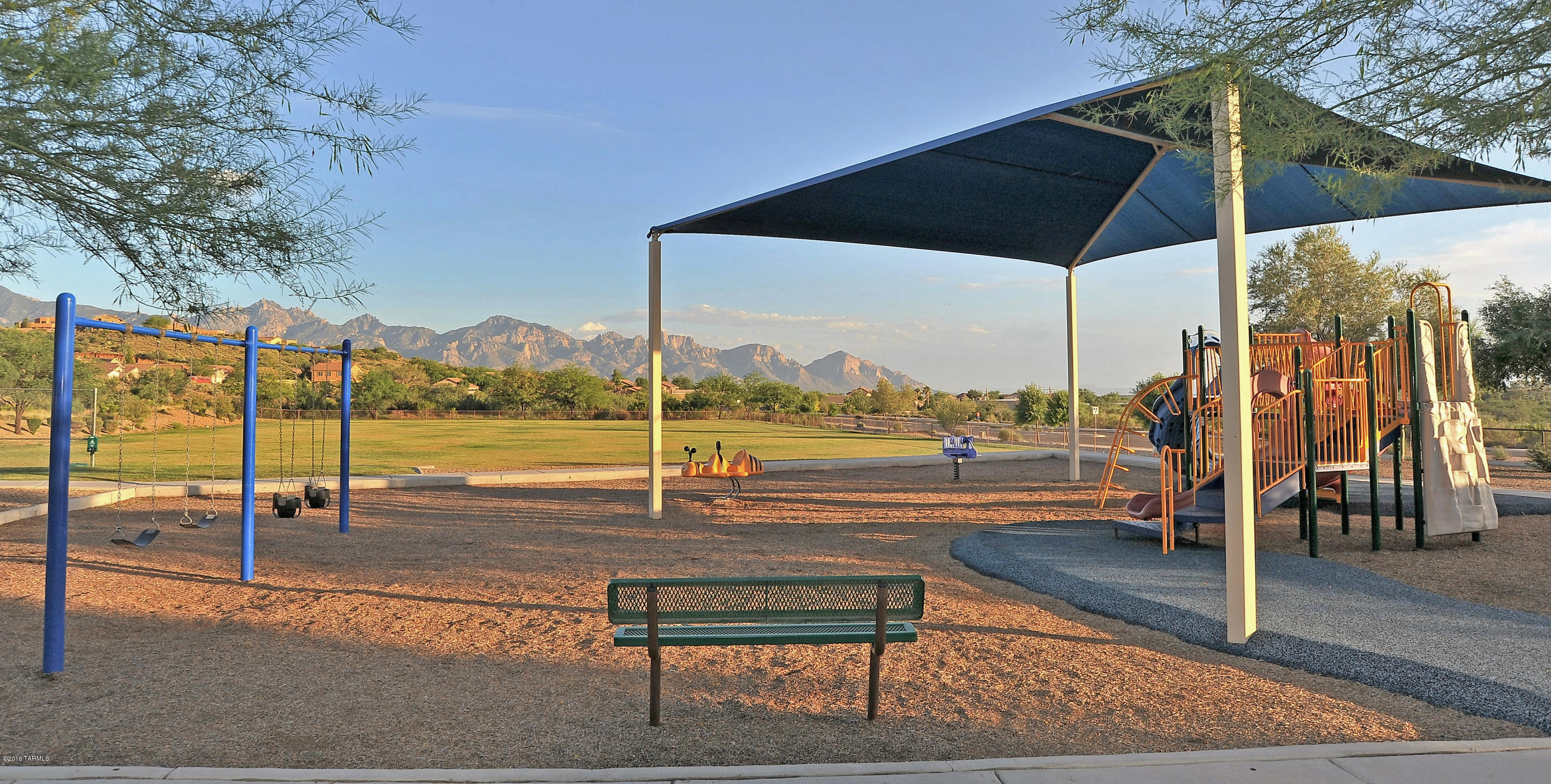 39033 S Running Roses Lane