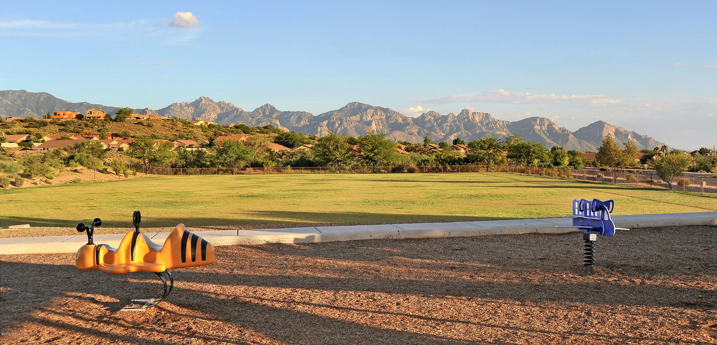 39033 S Running Roses Lane