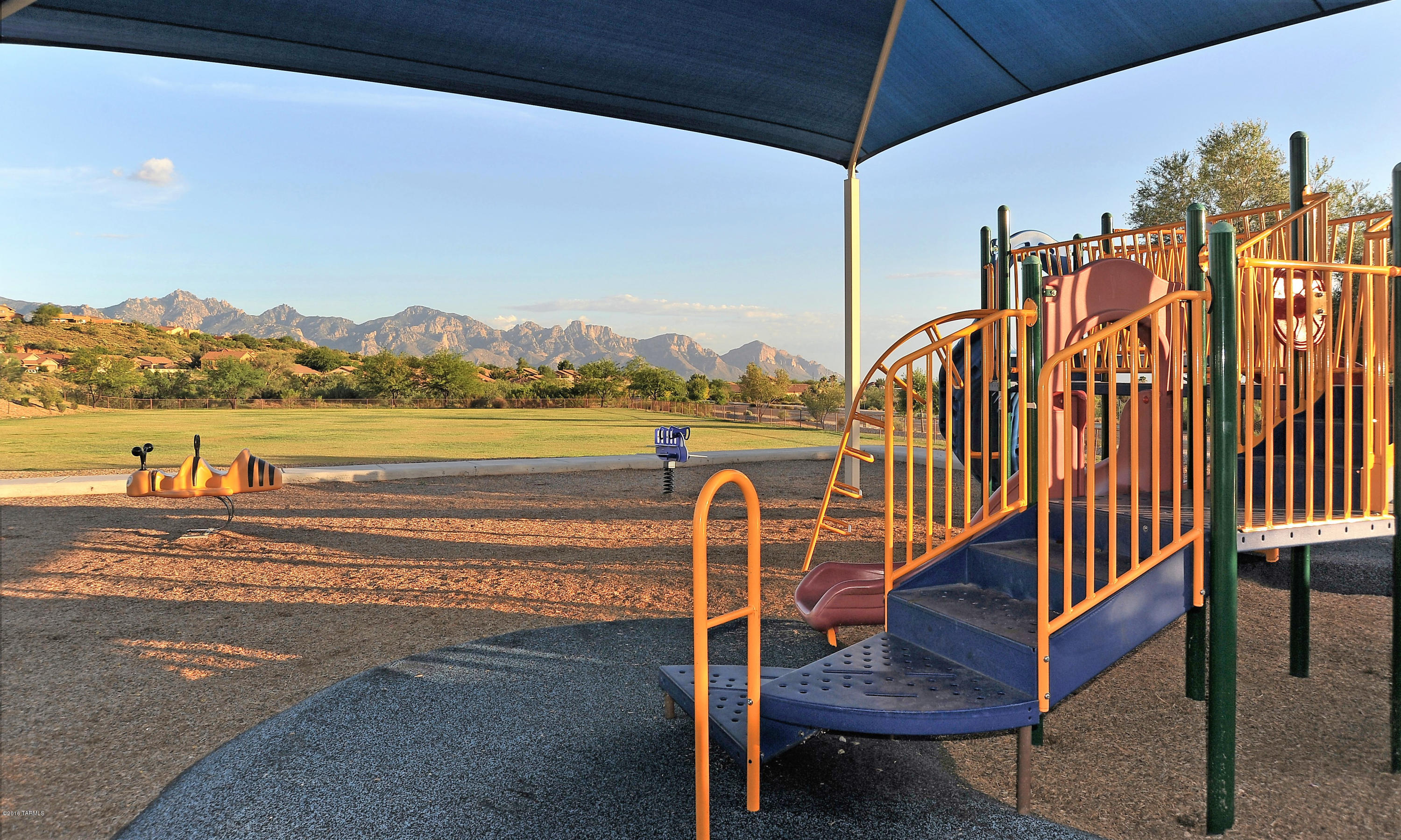 39033 S Running Roses Lane