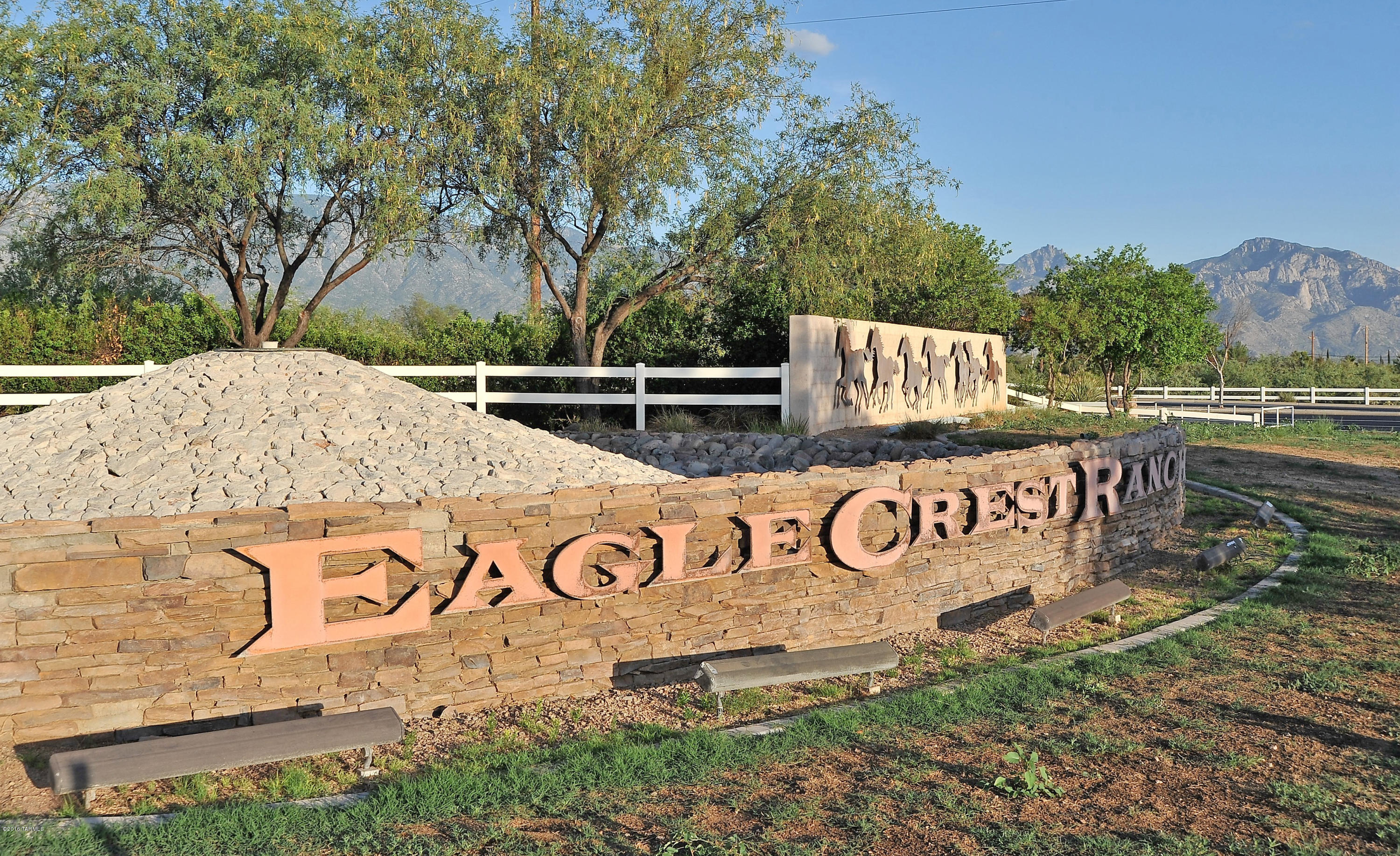 39033 S Running Roses Lane