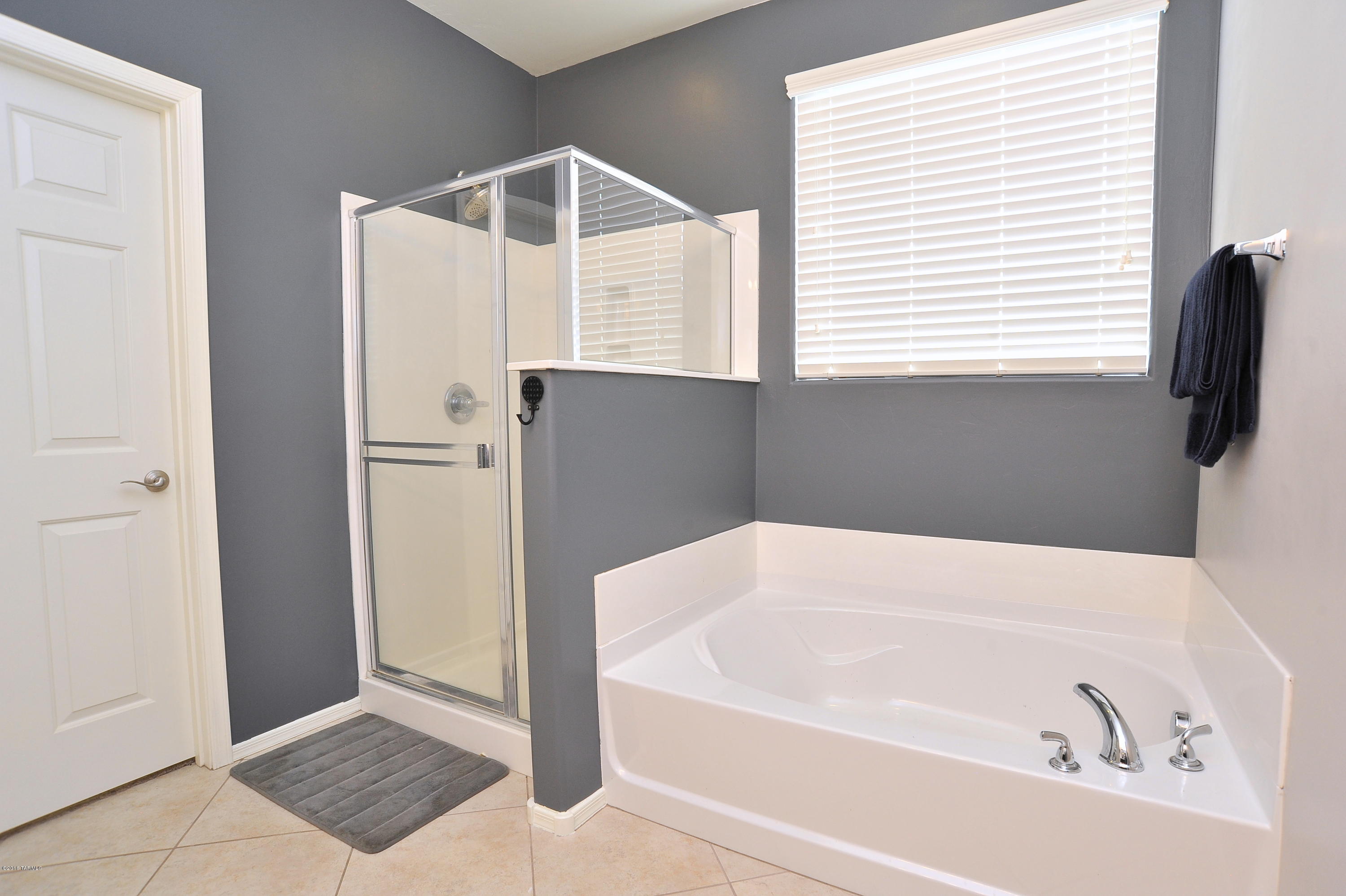 39033 S Running Roses Lane