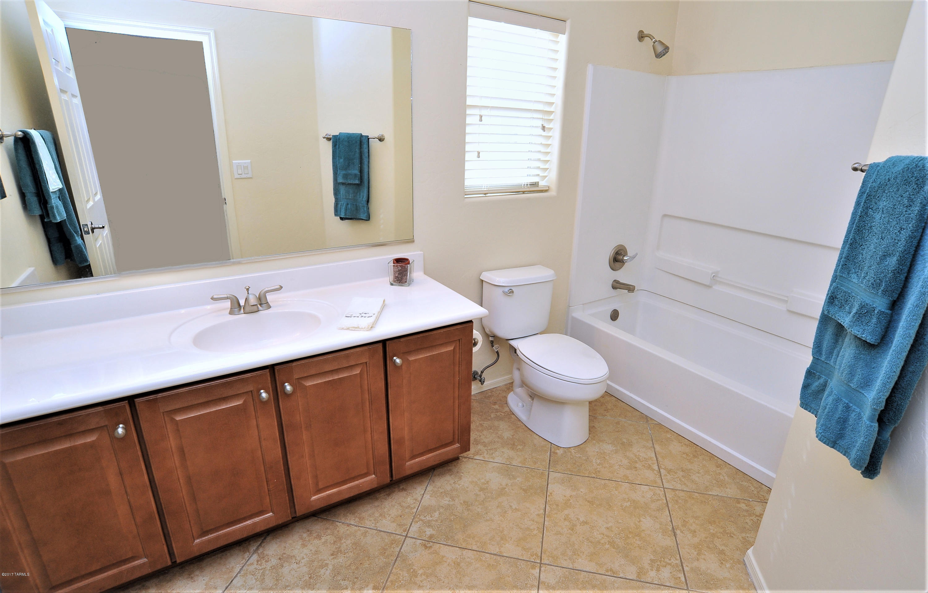 6573 S Via Diego De Rivera