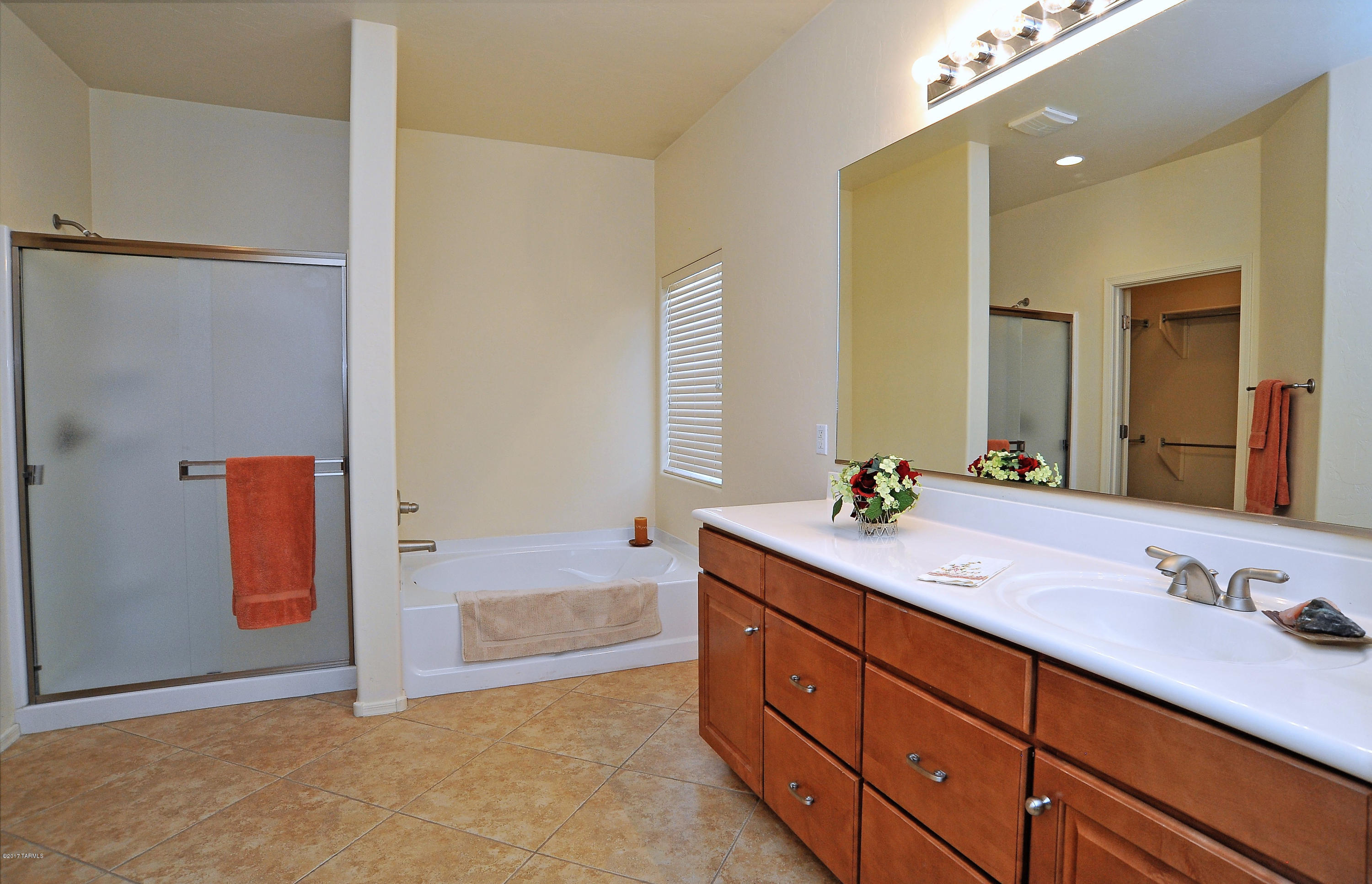 6573 S Via Diego De Rivera