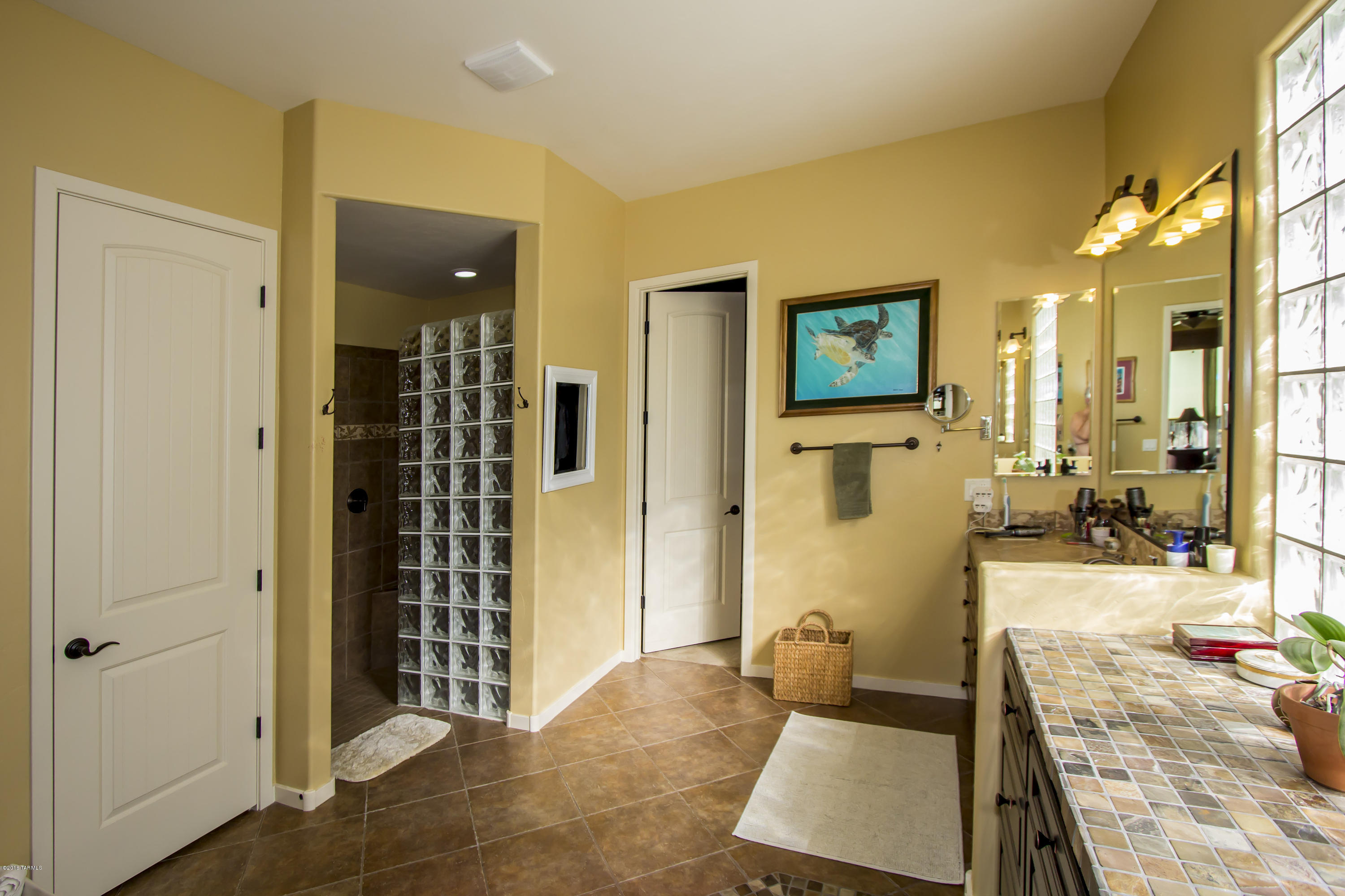 12474 N Fallen Shadows Drive