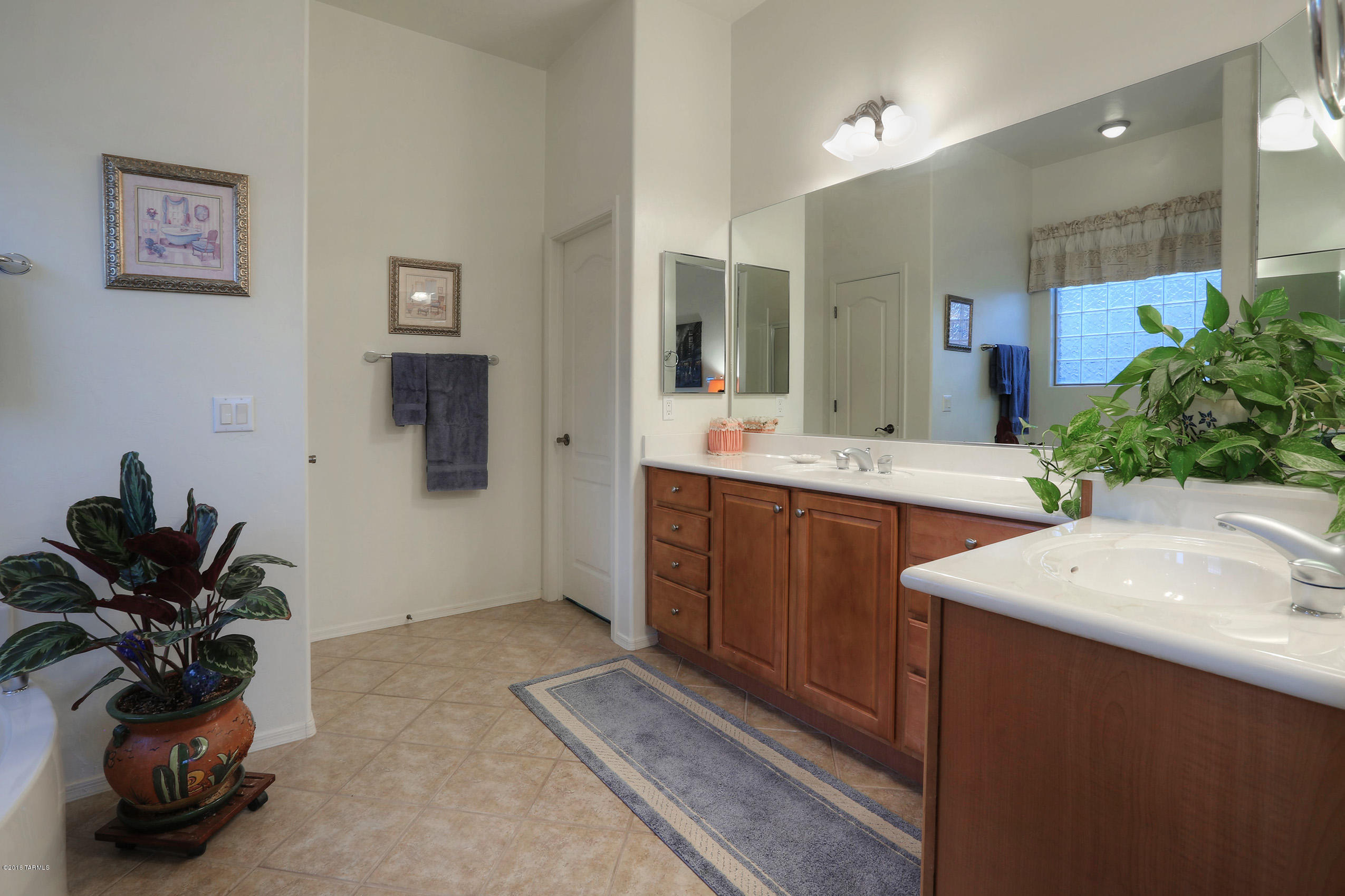 5107 W Wild Burro Spring Drive