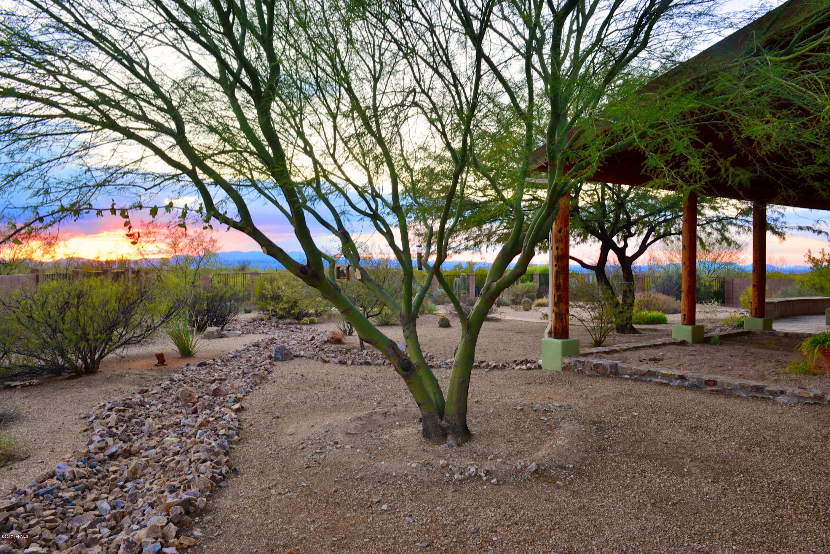 16586 S Saguaro View Lane